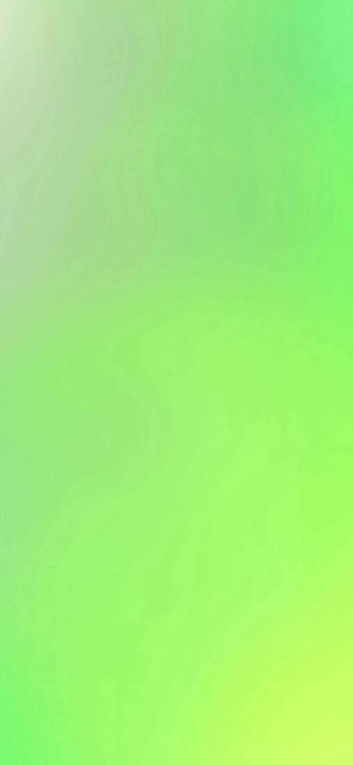 iPhone 11 Sariwang Berde Wallpaper