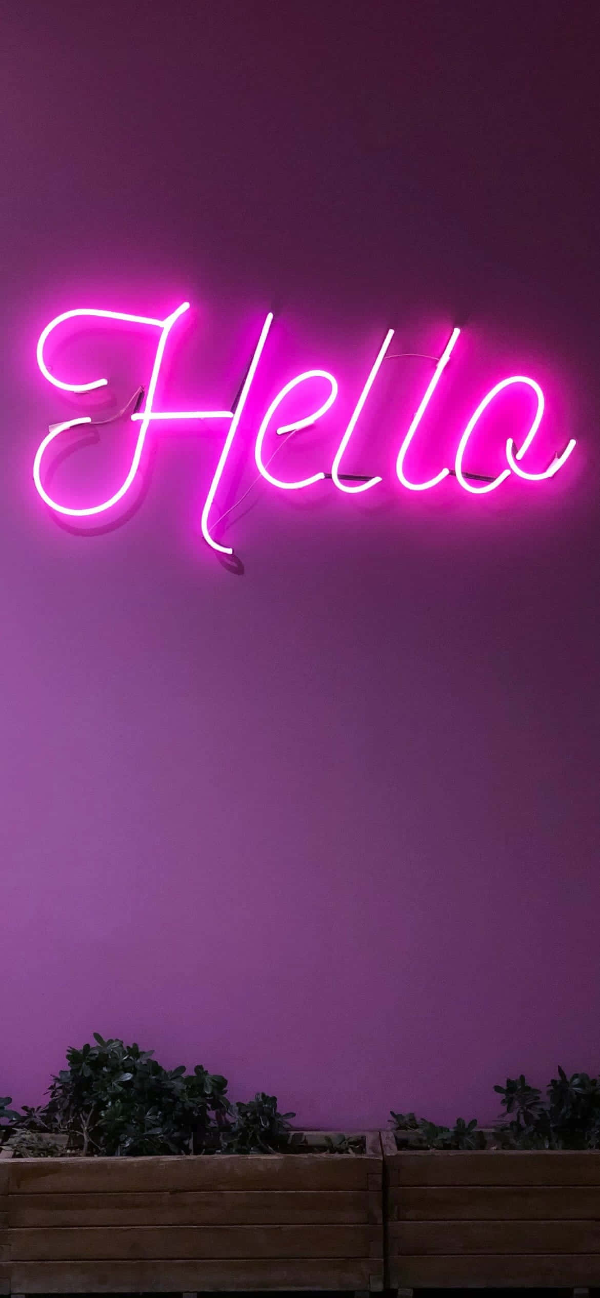 iPhone Lavender Aesthetic Neon Pink Wallpaper
