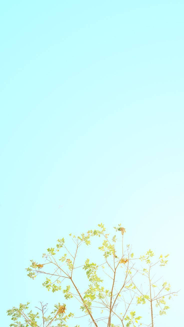 iPhone Pastel na Asul na Liwanag Wallpaper