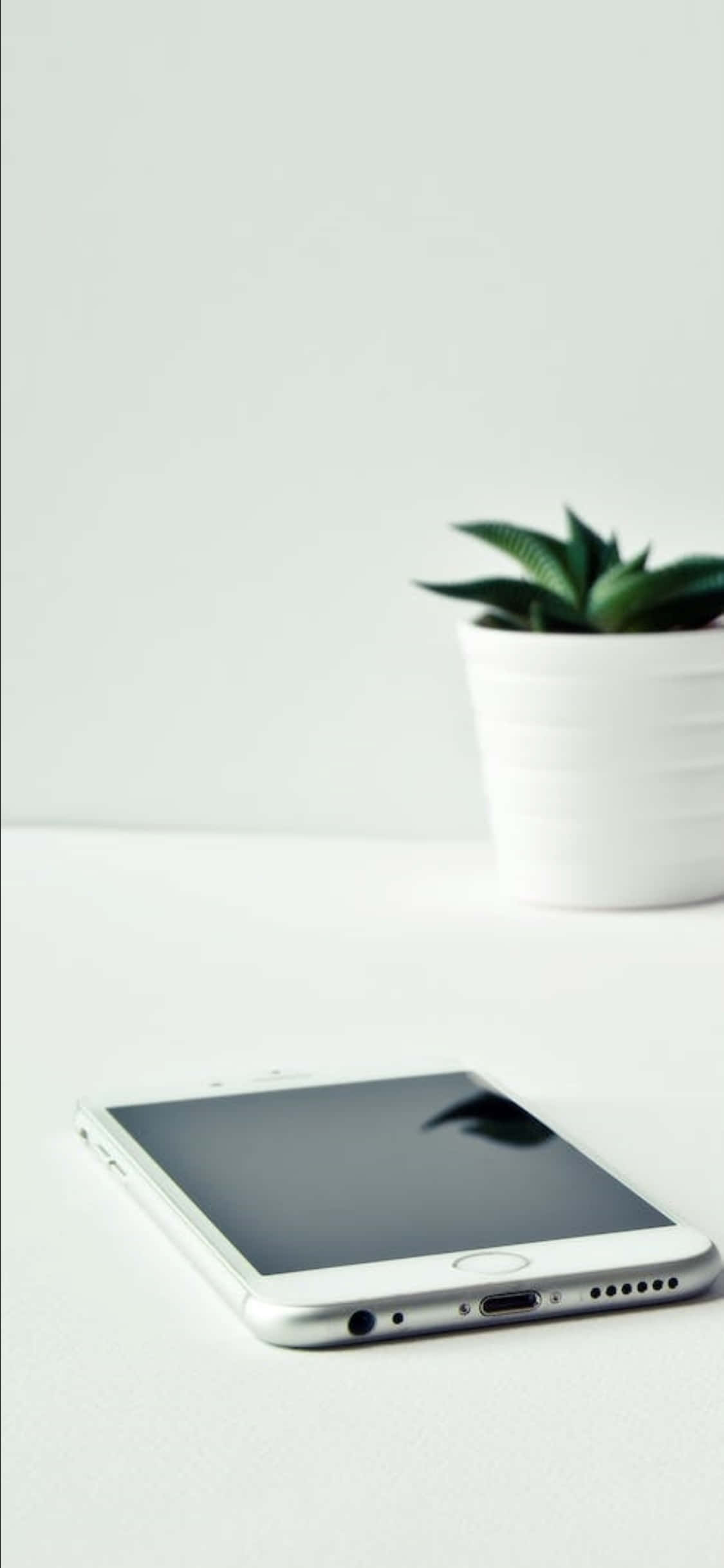 iPhone X Desk Background White Phone At Isang Halaman Wallpaper