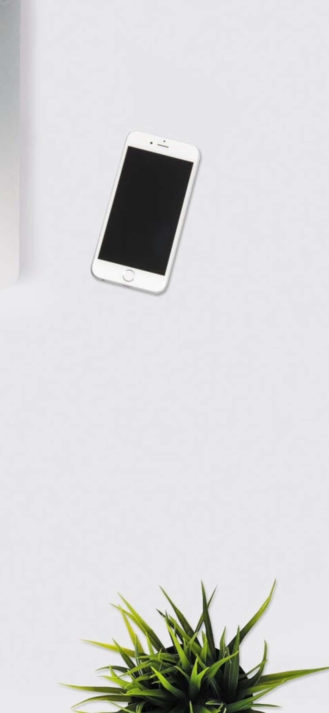 iPhone X Desk Background White Phone With An Indoor Plant Wallpaper
