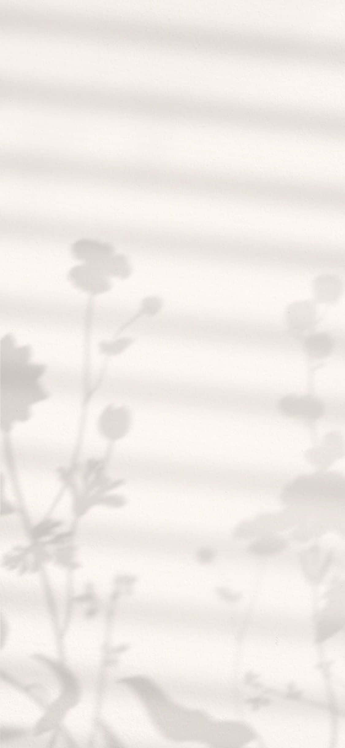 iPhone X Minimal Background Of Flower Shadows Wallpaper