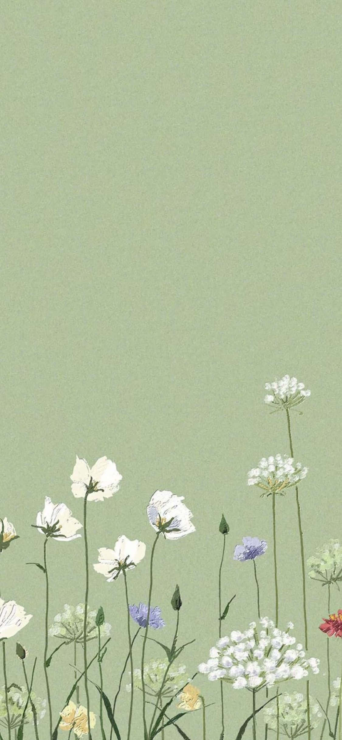 iPhone X Minimal Aesthetic Green Garden Background Wallpaper