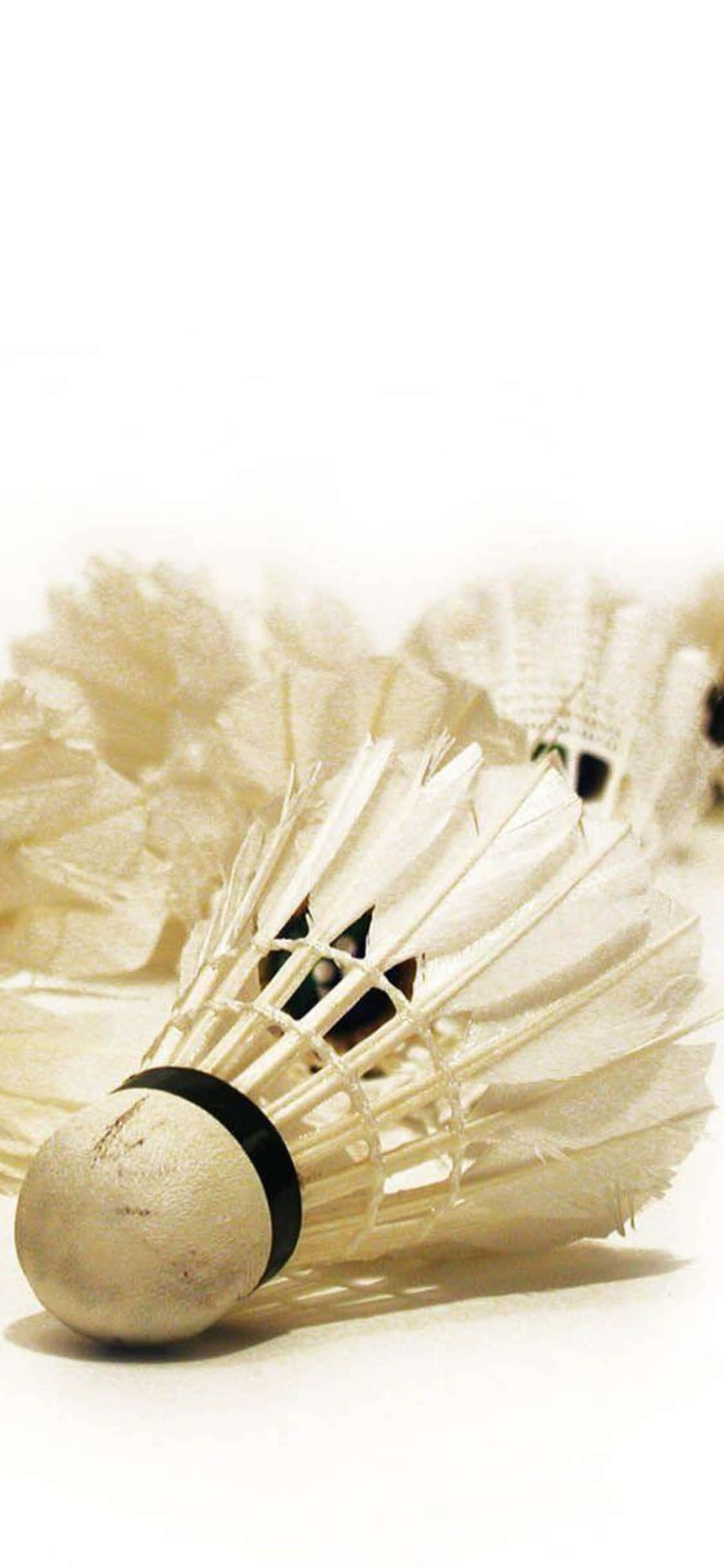 iPhone Xs Badminton Background Wallpaper