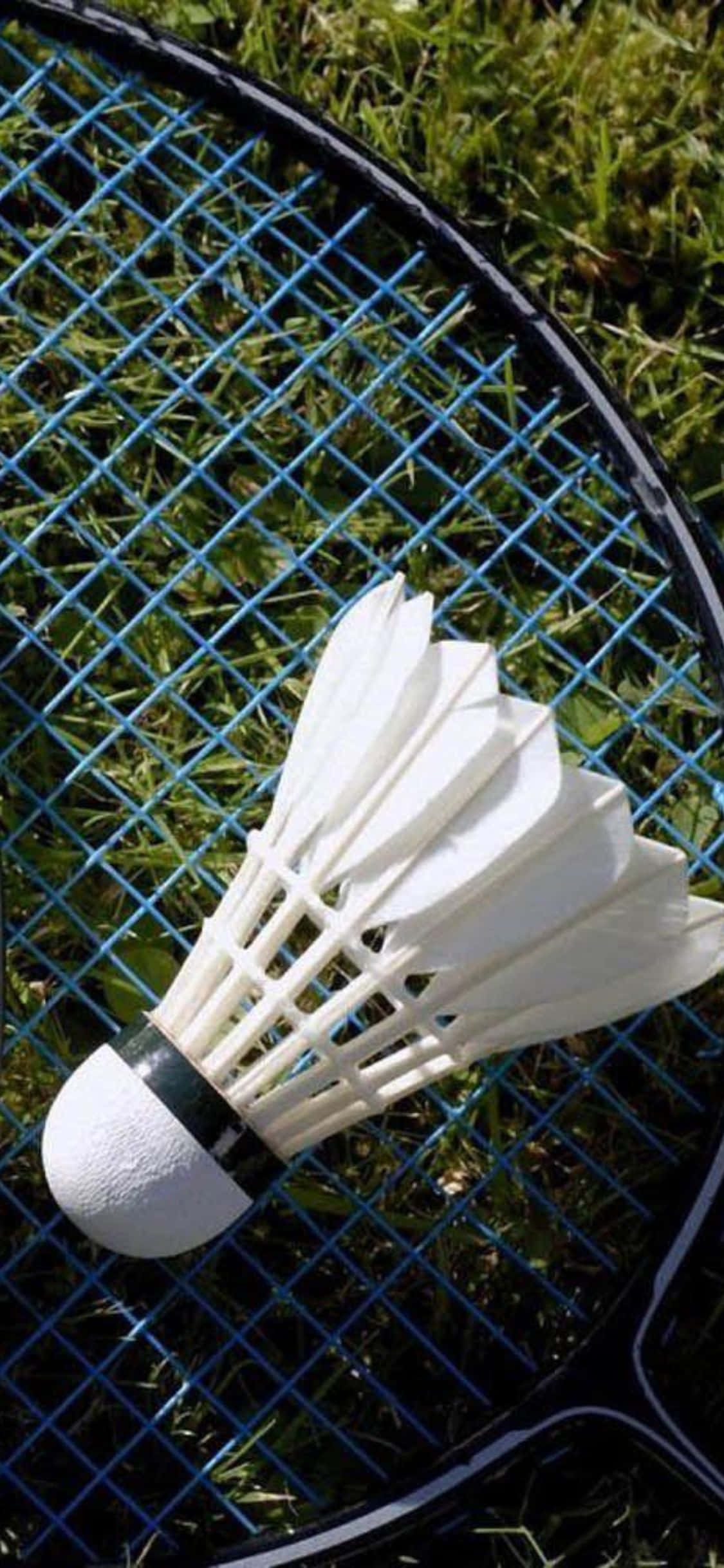 iPhone Xs Badminton Background Wallpaper