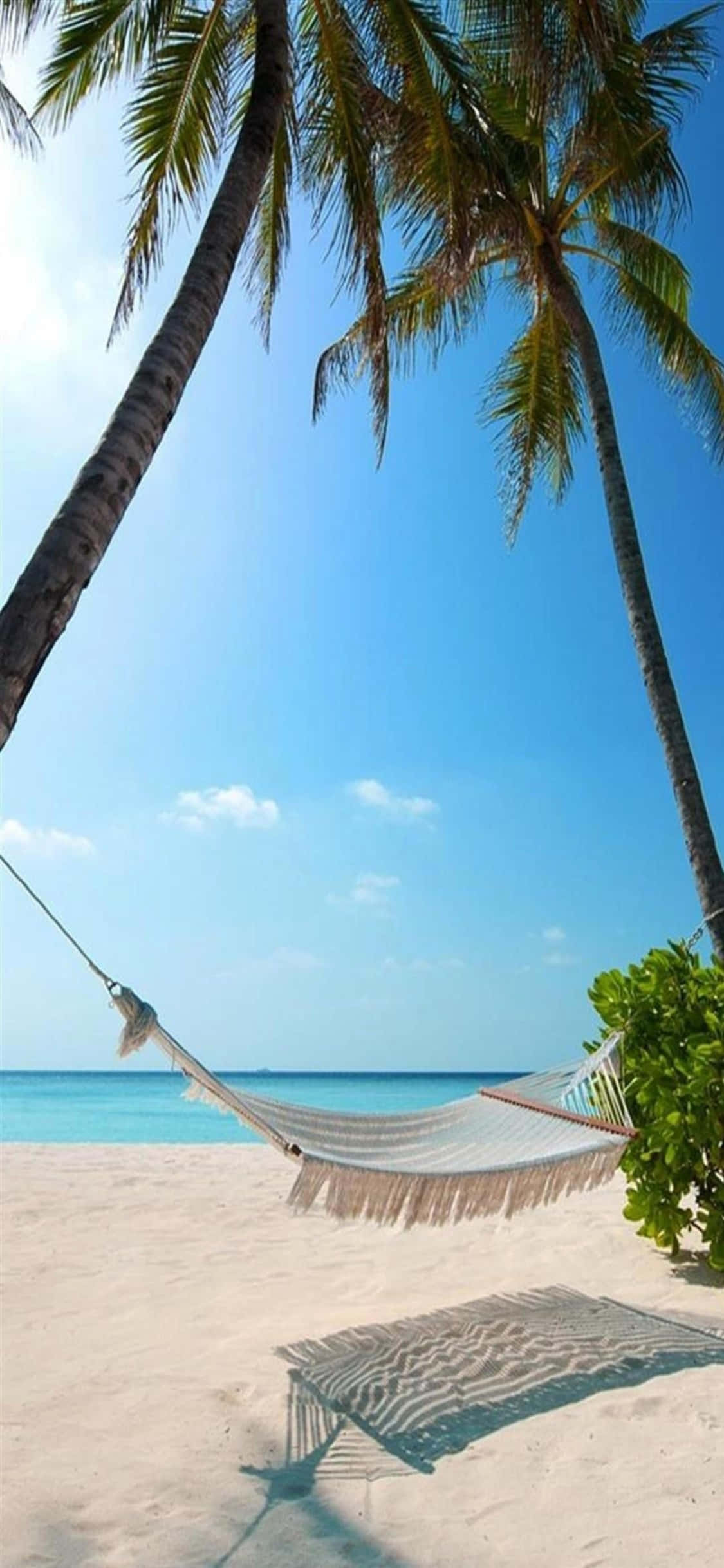 iPhone XS Beach Hammock Background Wallpaper