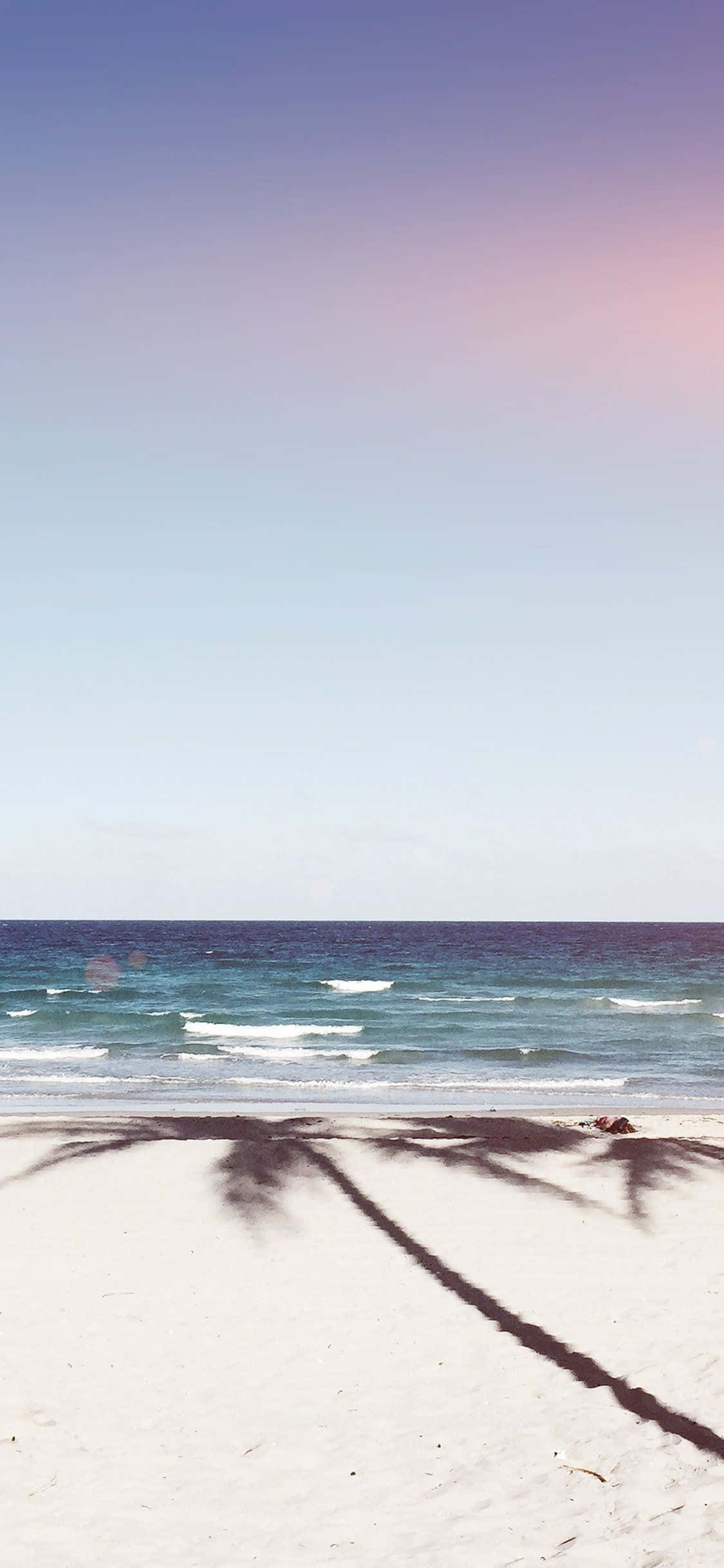 iPhone XS Beach Palm Tree Shadow Background Wallpaper