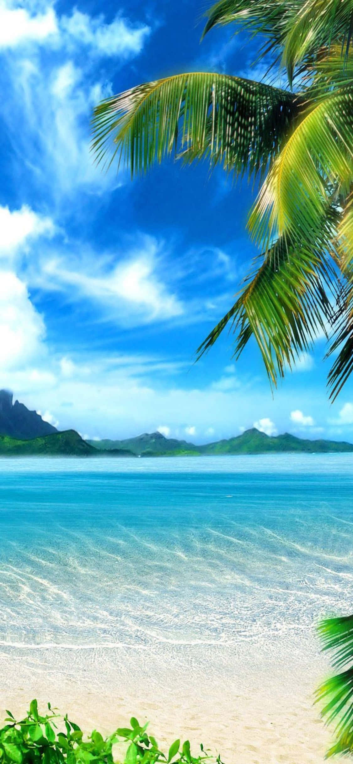 iPhone XS Caribbean Beach Background Wallpaper