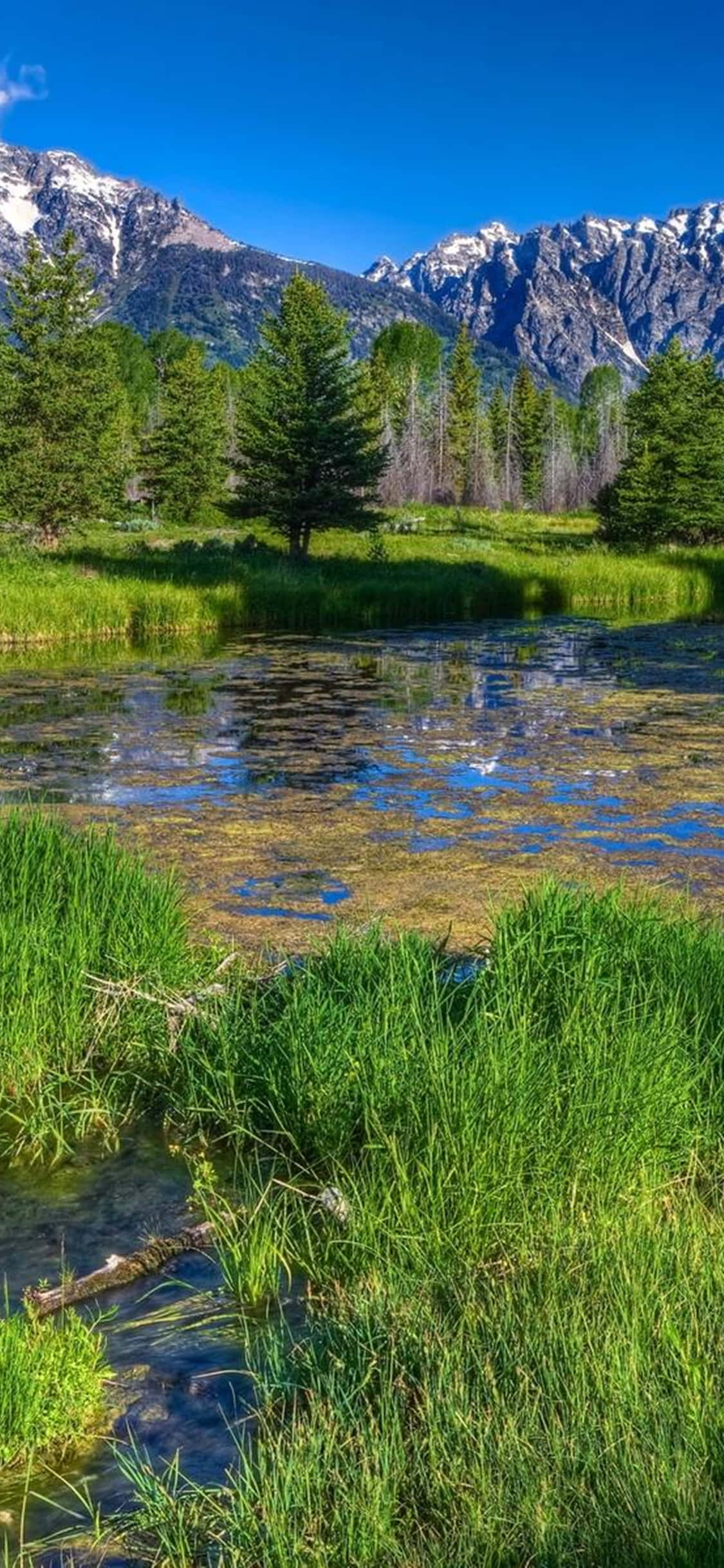 iPhone Xs Desktop Pc Nature Background Wallpaper