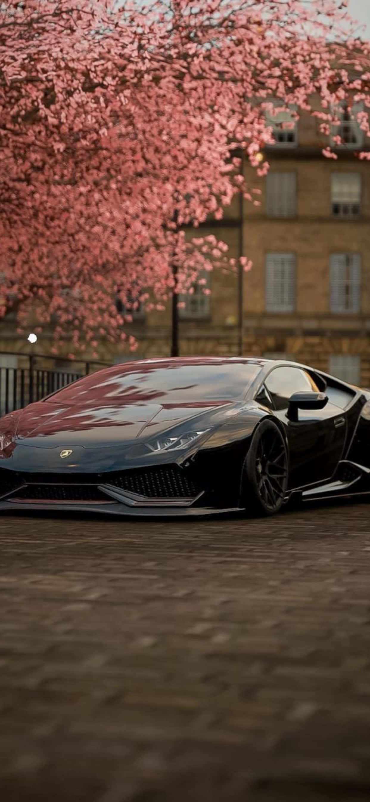 iPhone XS Max Lamborghini Cherry Blossom Background Wallpaper