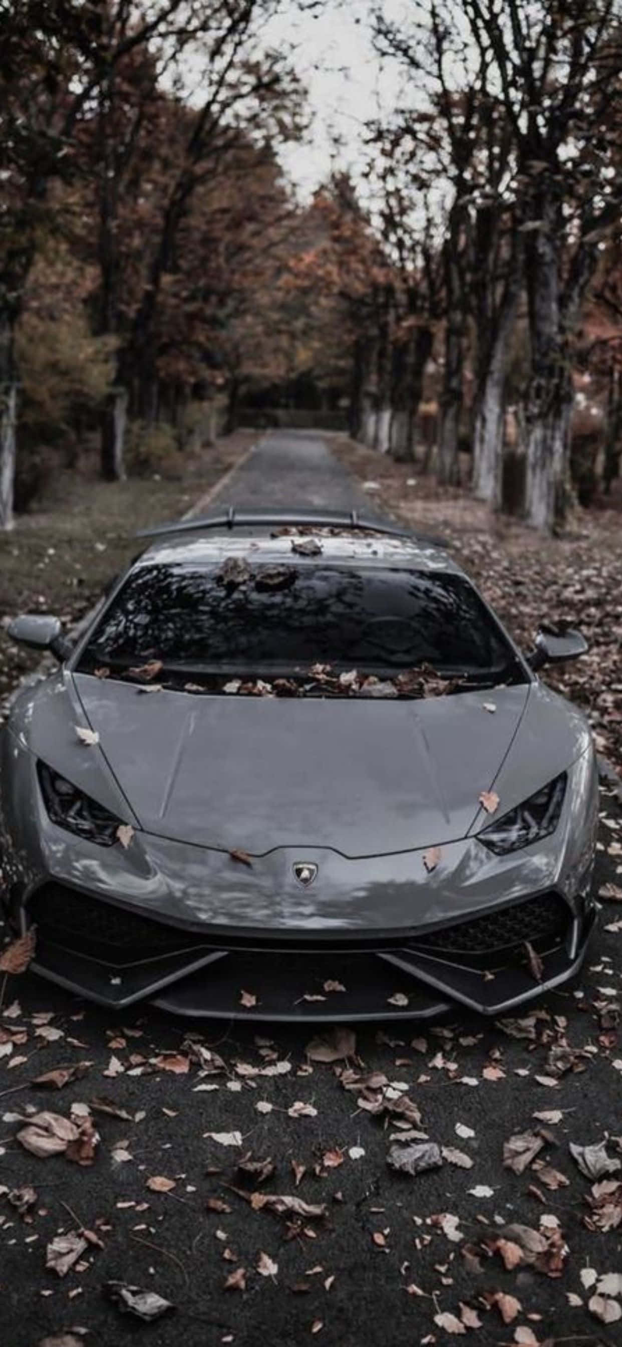 iPhone XS Max Lamborghini Huracan Gray Car Background Wallpaper