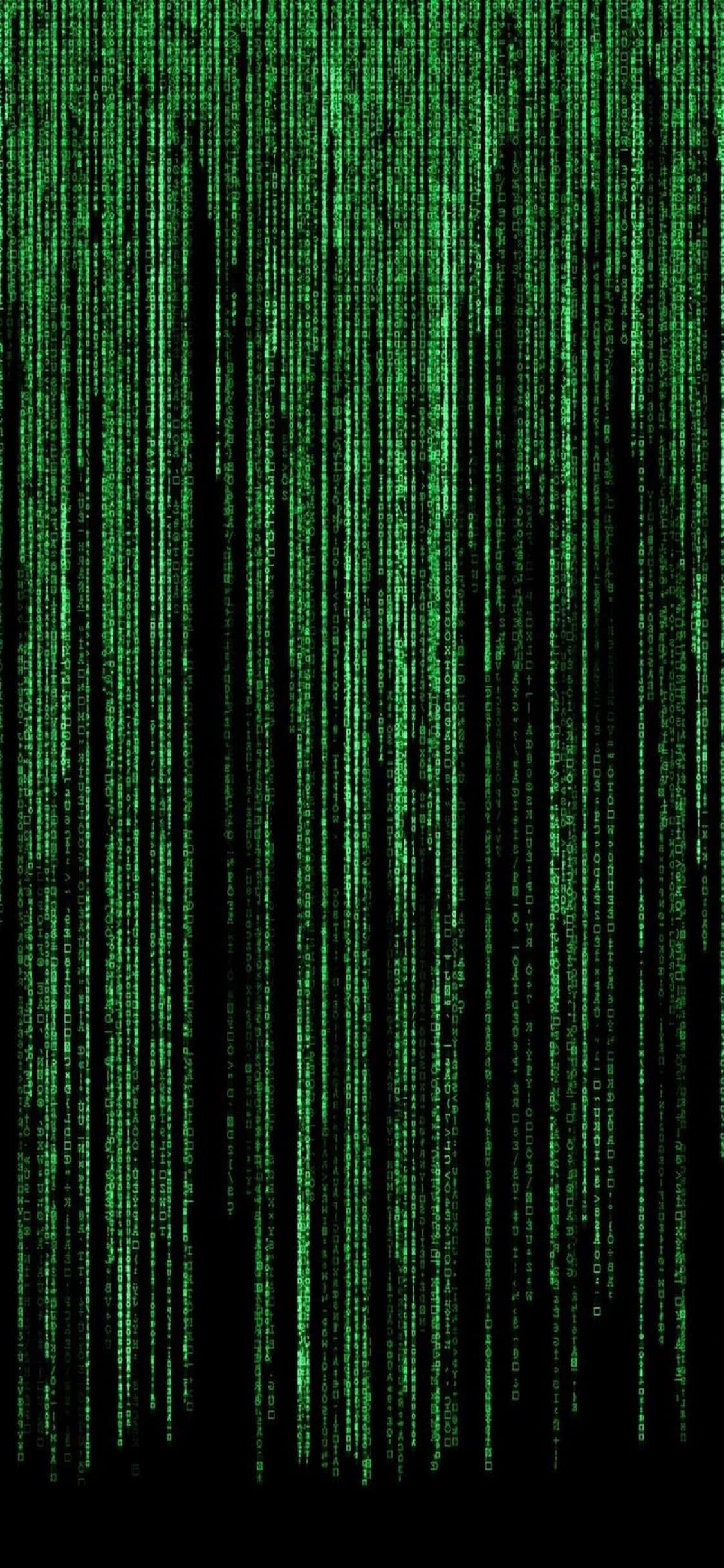 iPhone Xs Programming Background Green Matrix Wallpaper