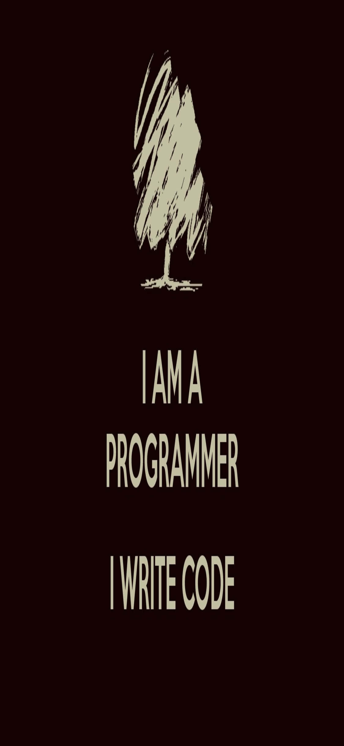 iPhone Xs Programming Background Programmer Quote Wallpaper