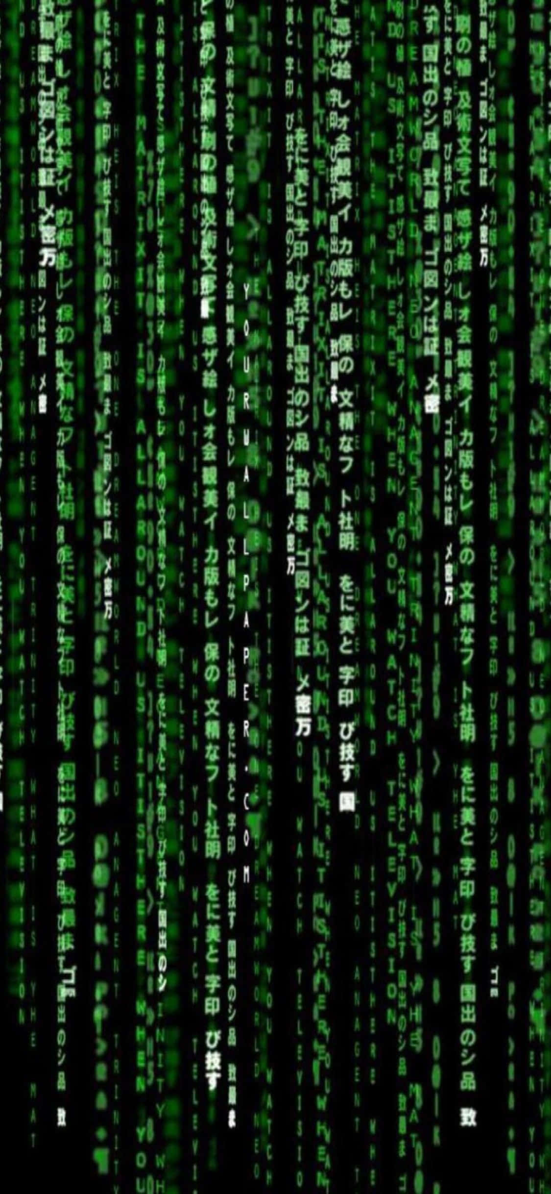 iPhone Xs Programming Background Vertical Matrix Wallpaper