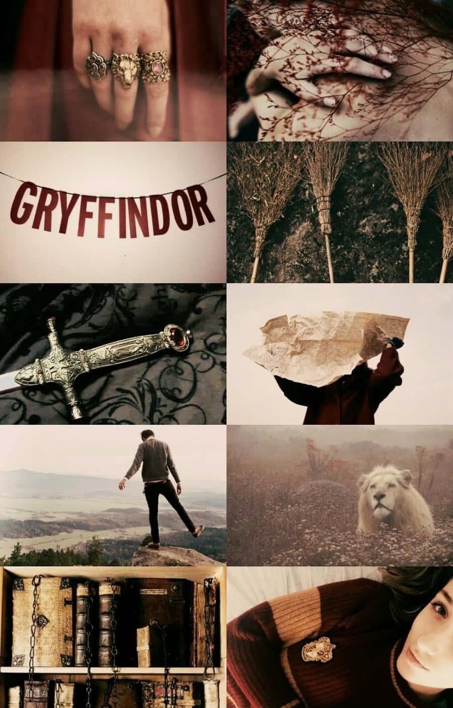 Isang Aesthetic na Wallpaper ng Harry Potter Wallpaper