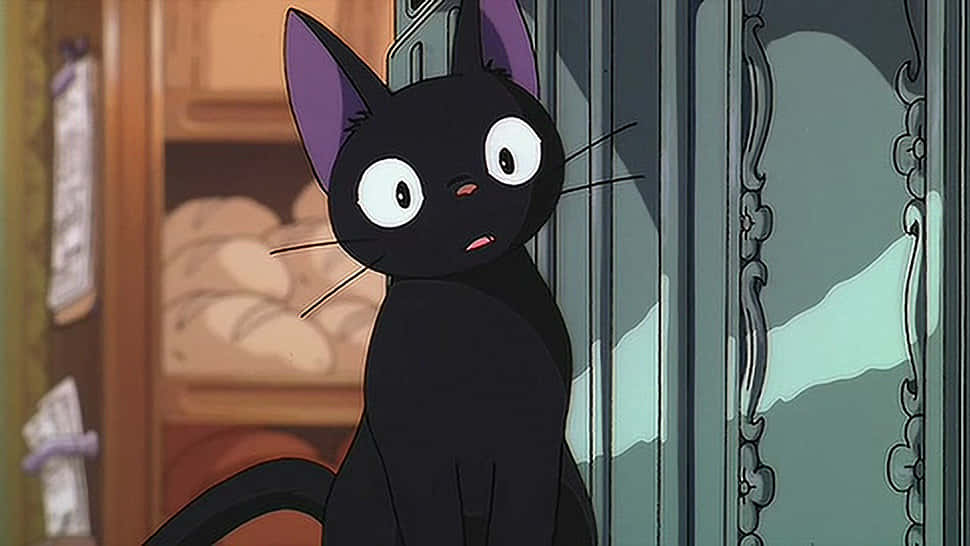 Isang asul na mata na Anime na Pusa na nag-eenjoy sa paglubog ng araw Wallpaper