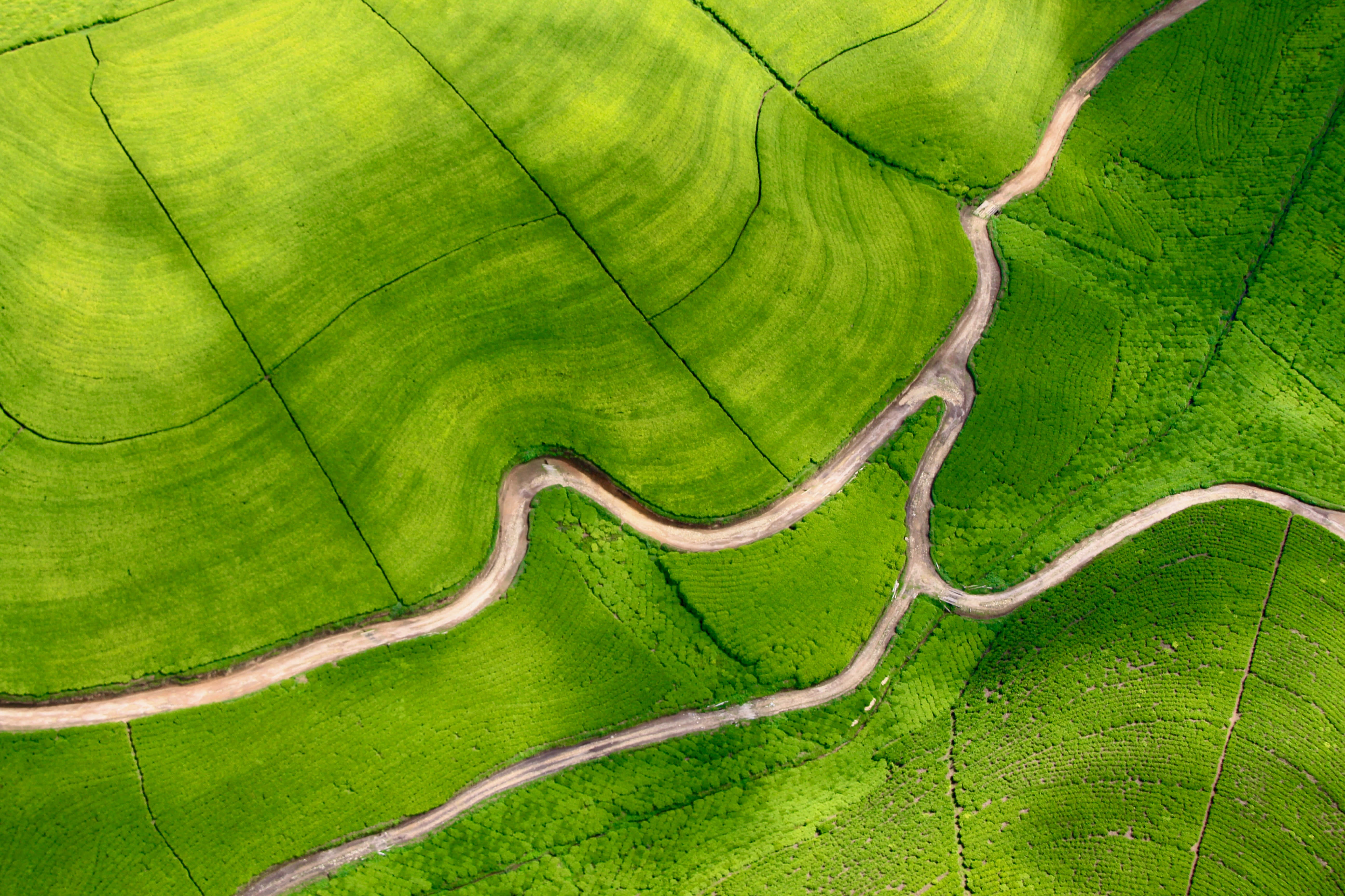isang berdeng field na may isang winding road Wallpaper