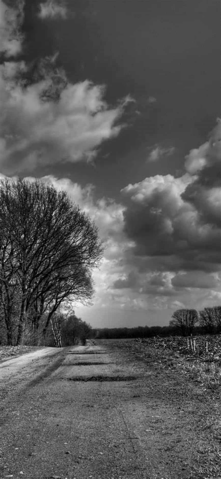 isang black and white photo ng isang dirt road na may mga puno Wallpaper