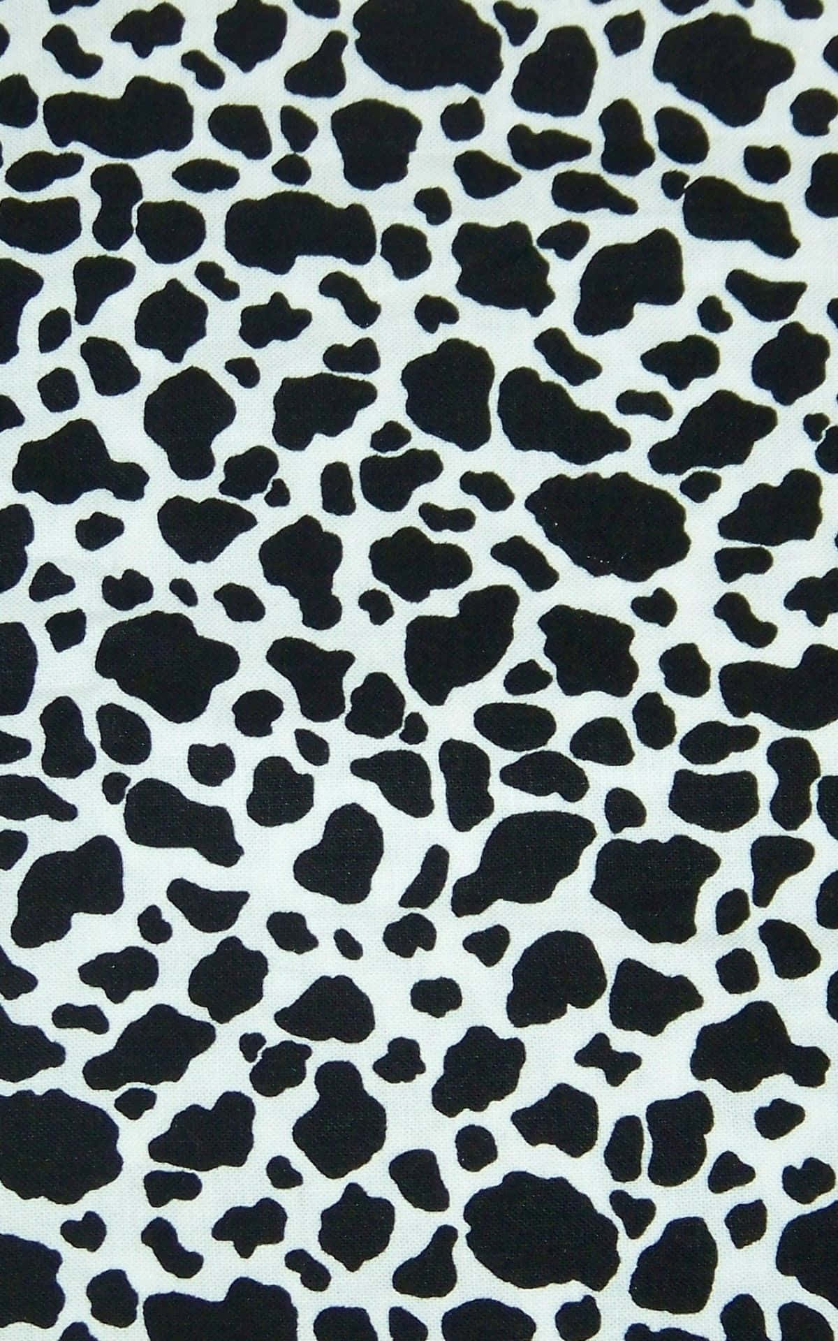 isang black at white cow print fabric Wallpaper