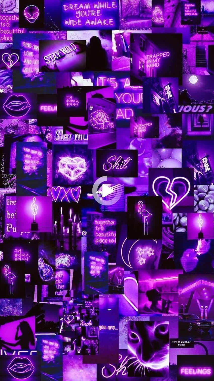 isang collage ng mga lilang larawan na maraming puso Wallpaper