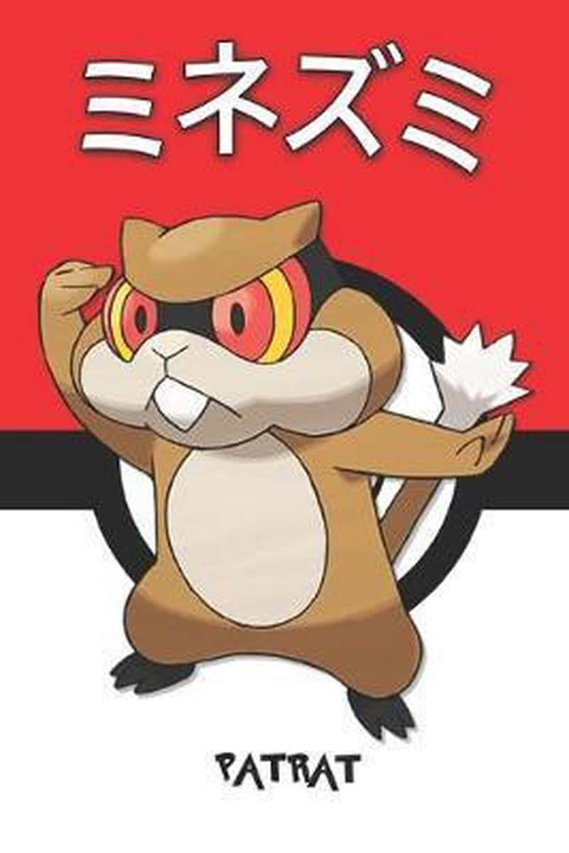 Isang cute na Patrat na nakatayo sa harap ng pula at puting background Wallpaper