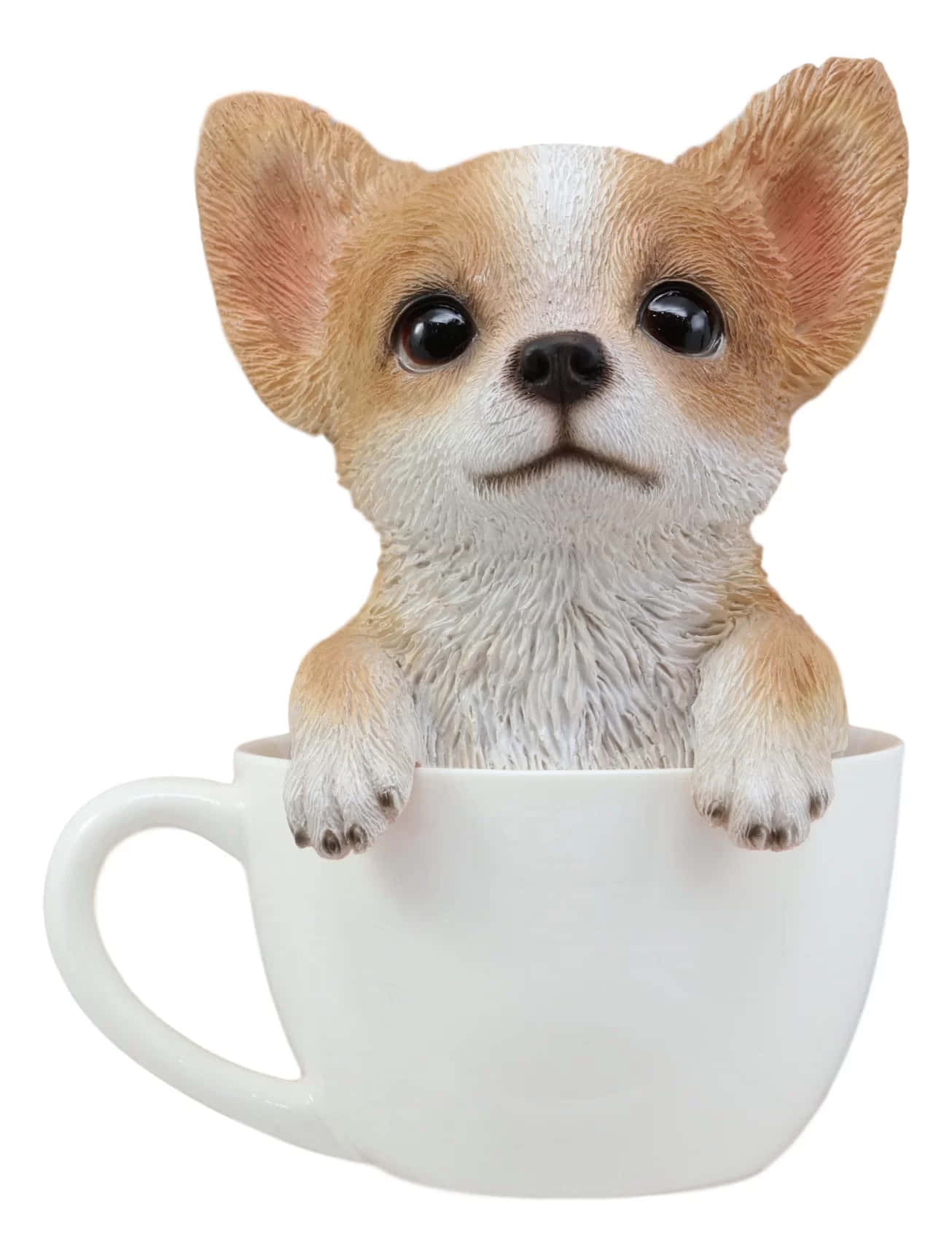 "Isang Cute na Teacup Chihuahua" Wallpaper
