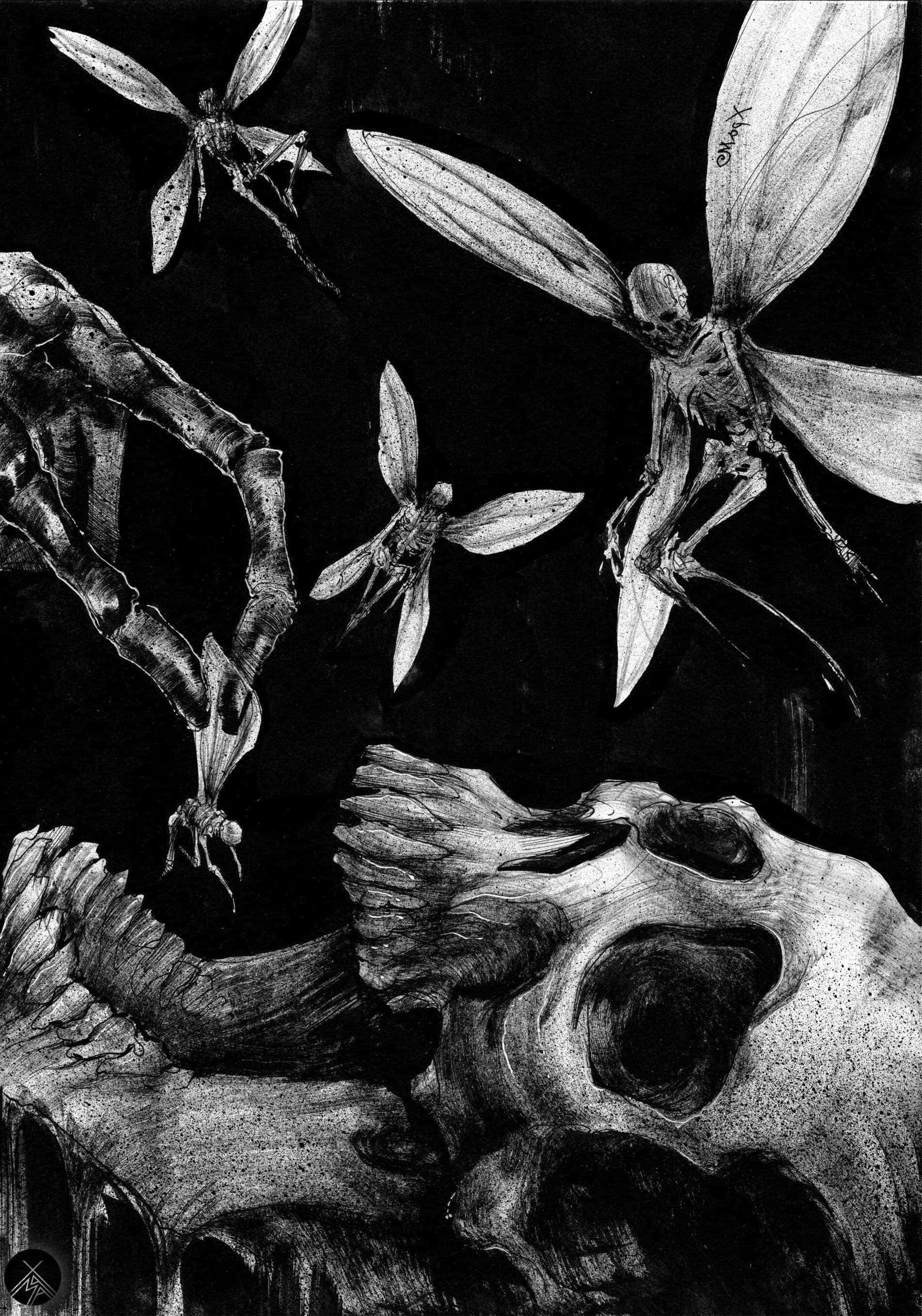 isang drawing ng isang skull na may dragonfly na lumilipad sa itaas nito Wallpaper