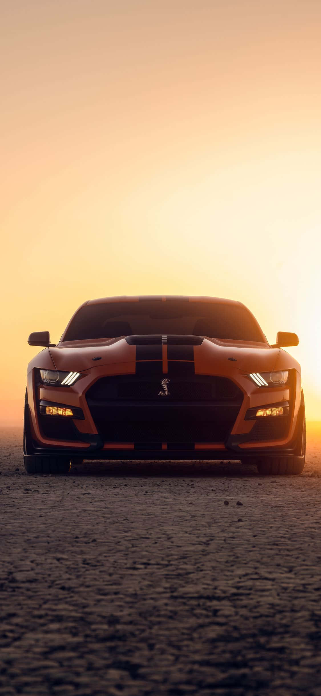 isang ford mustang gt ay nakaupo sa disyerto sa paglubog ng araw Wallpaper