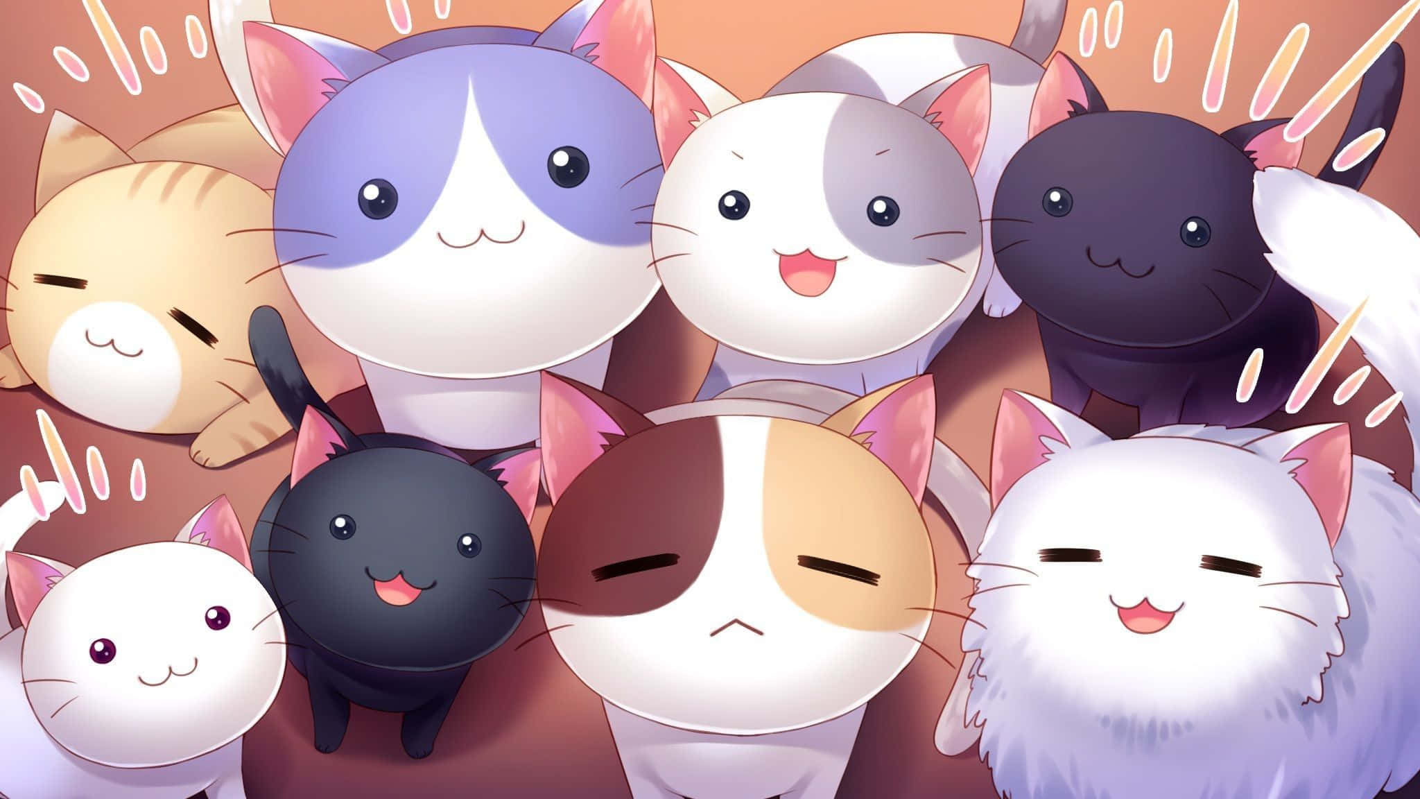 isang grupo ng mga pusa na nakaangat ang mga mukha Wallpaper