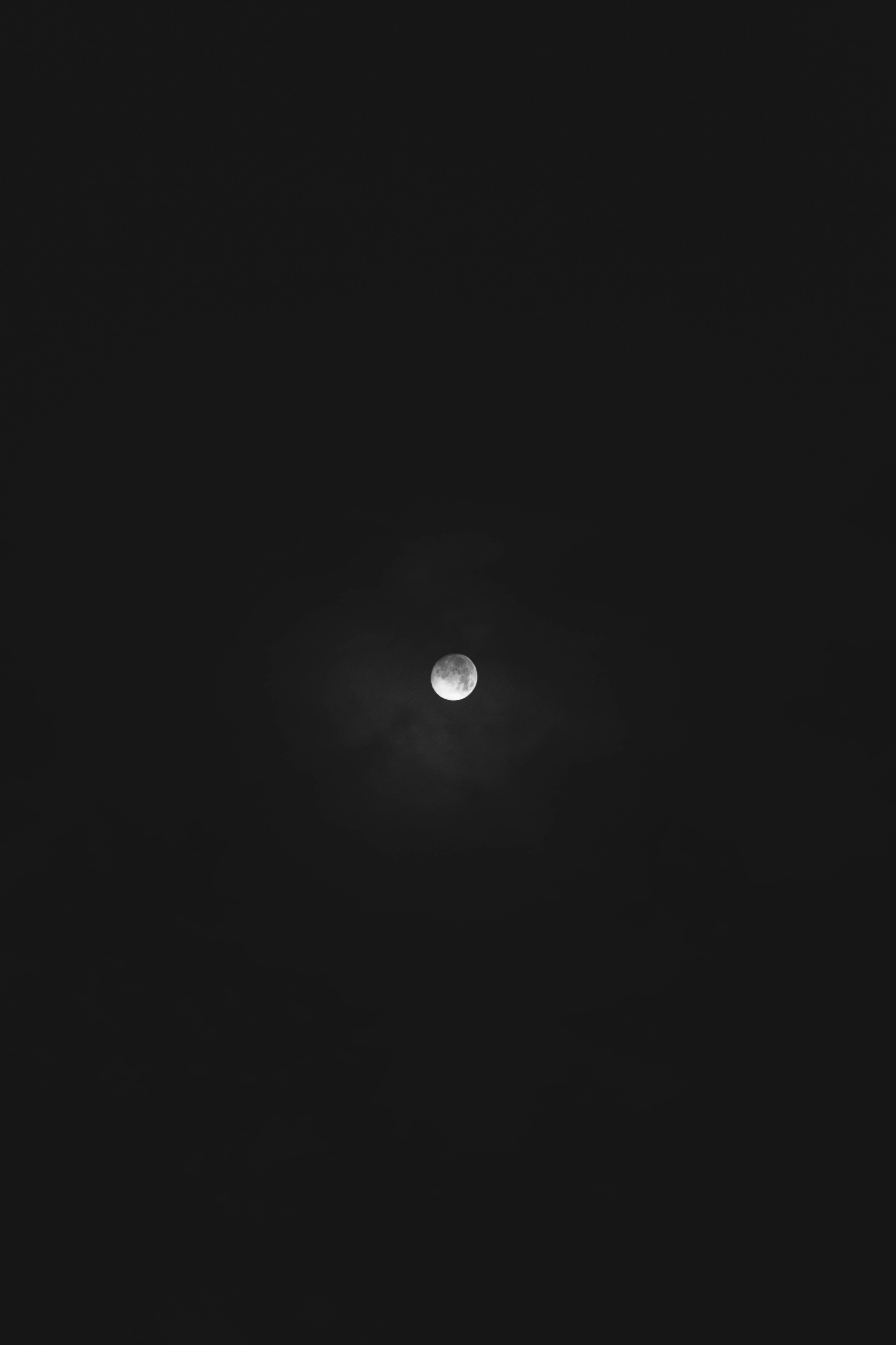 Isang Harvest Moon na Sumisikat sa Kalangitan sa Gabi Wallpaper