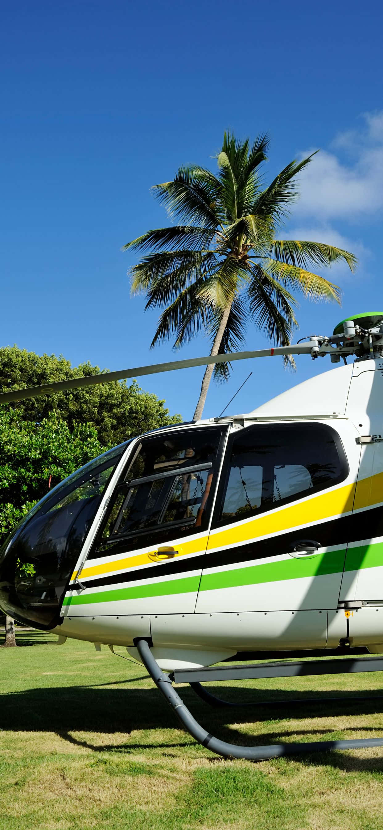 isang helicopter na naka-park sa damo Wallpaper