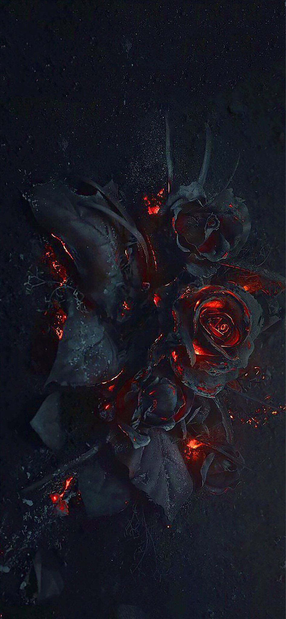 isang itim at pulang rosas na may apoy dito Wallpaper