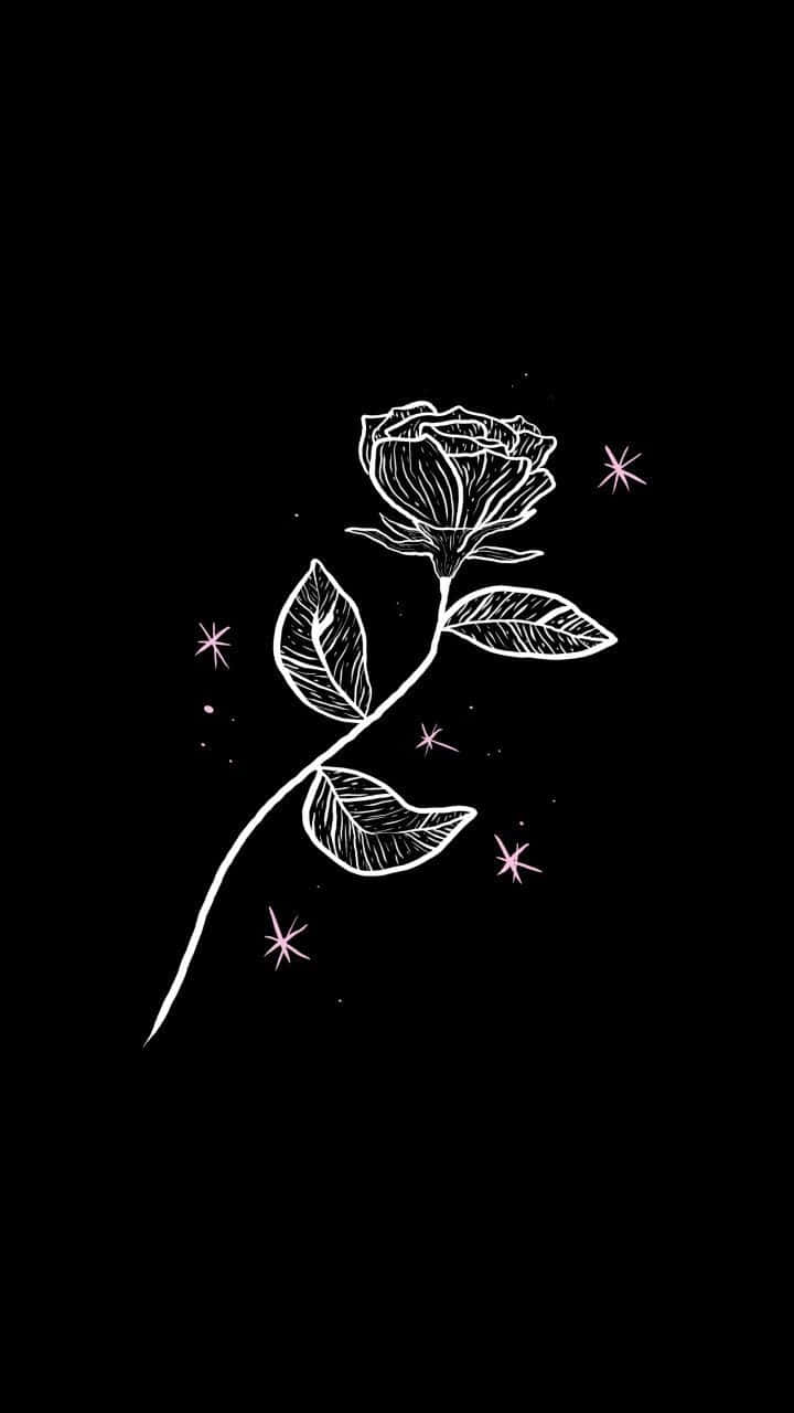 isang itim na background na may puting rosas Wallpaper