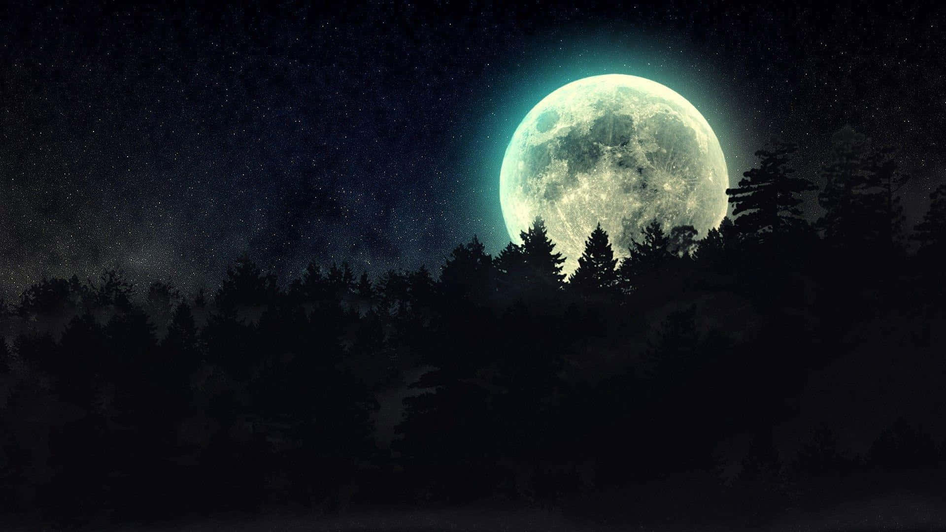 isang kabilugang buwan ang makikita sa itaas ng kagubatan Wallpaper