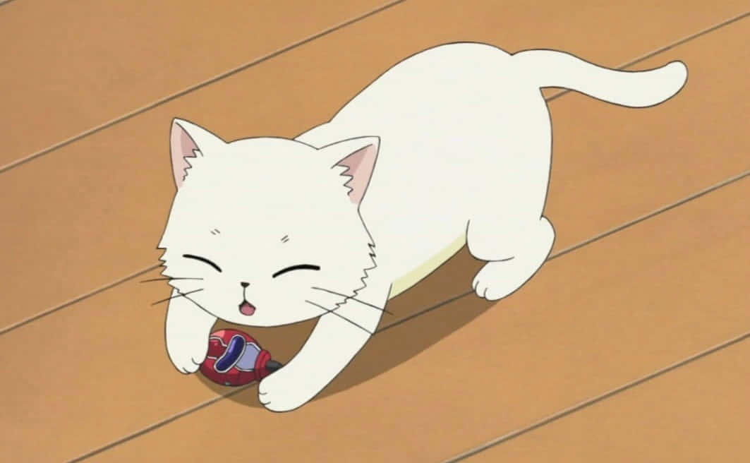 Isang Kaibig-ibig na Anime na Pusa na Naglalakbay Wallpaper