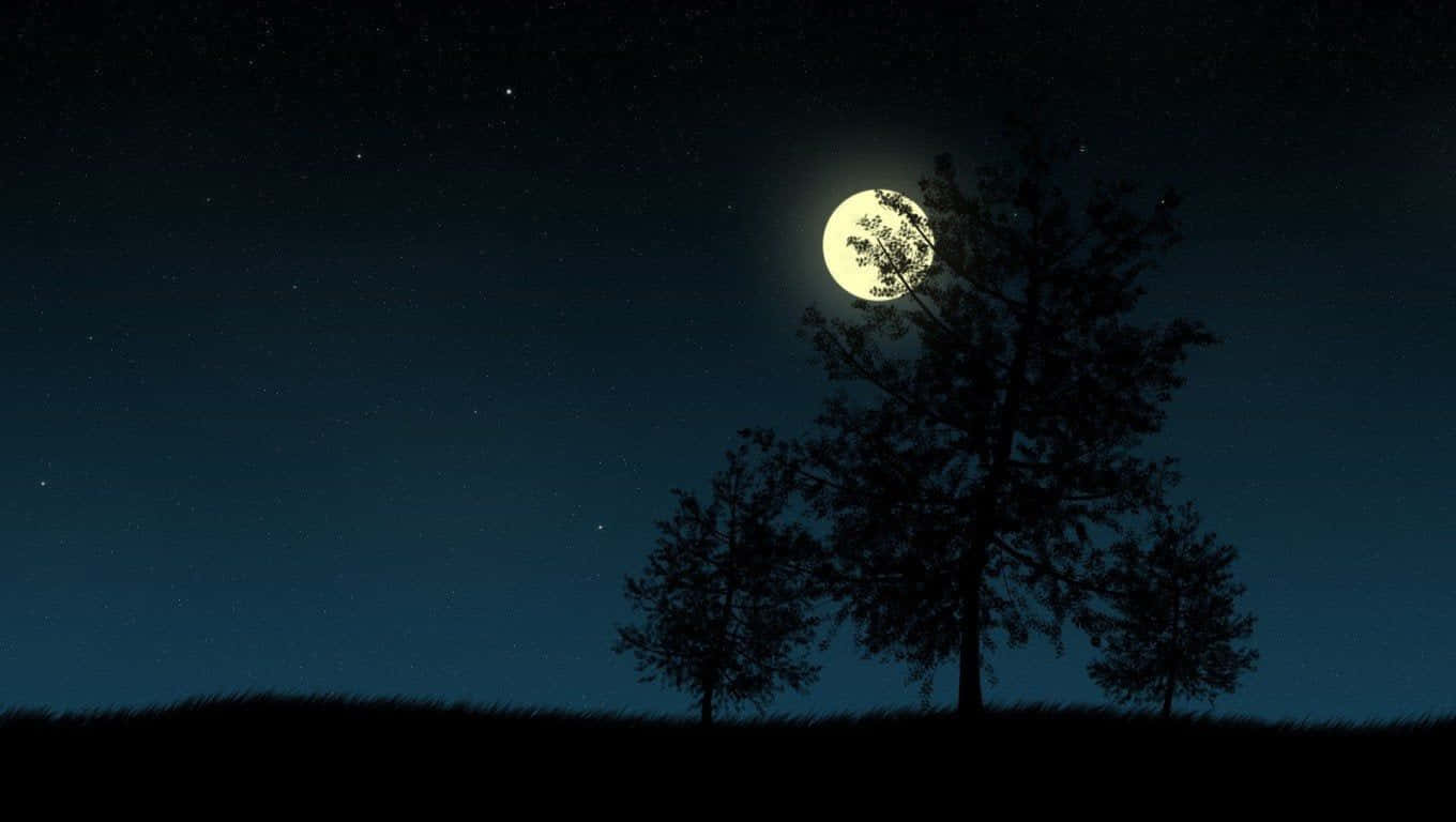 isang kalangitan sa gabi na may mga punong kahoy at isang buwan Wallpaper