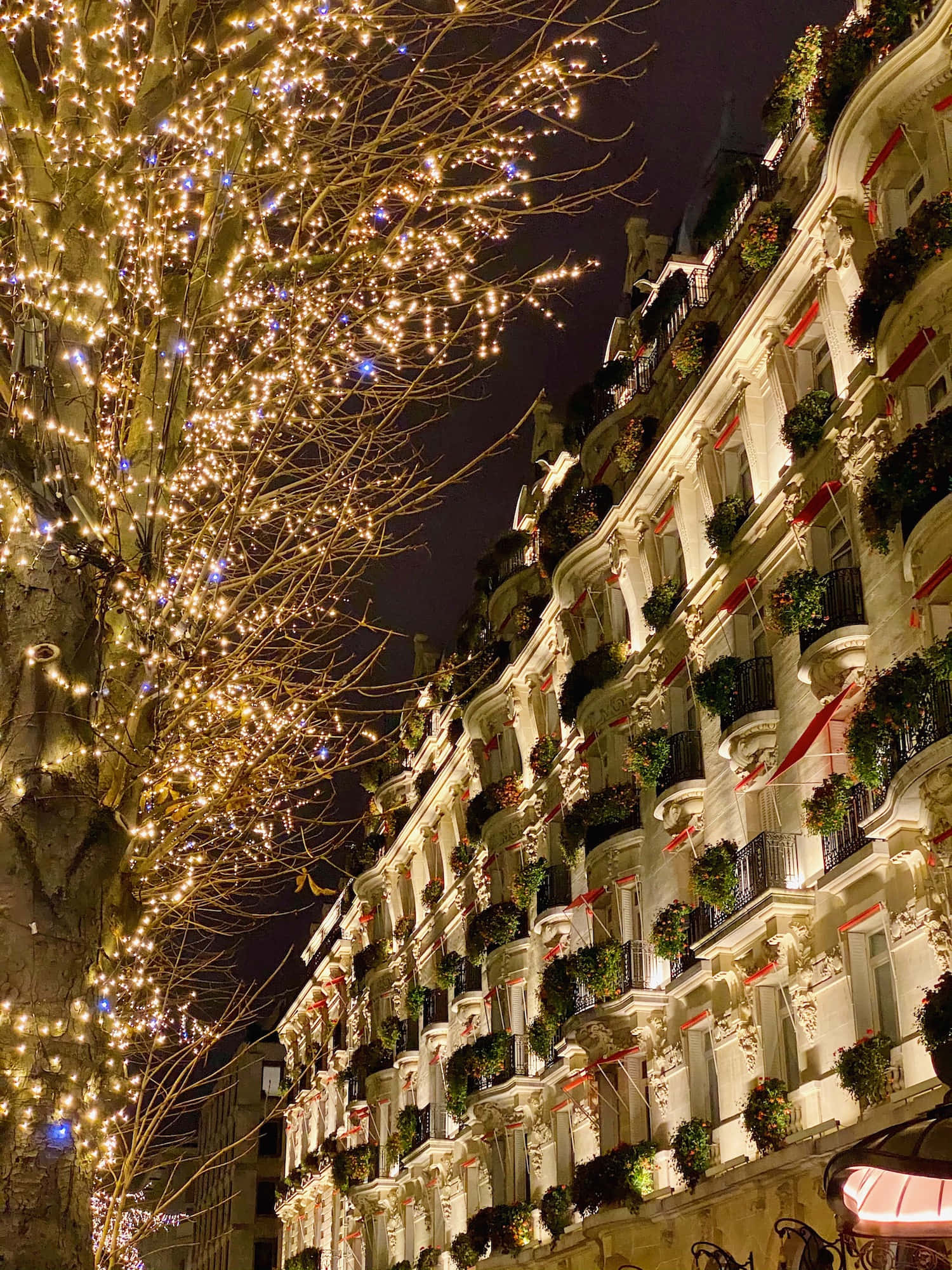 isang kalye na may mga ilaw ng pasko at isang punong pasko Wallpaper