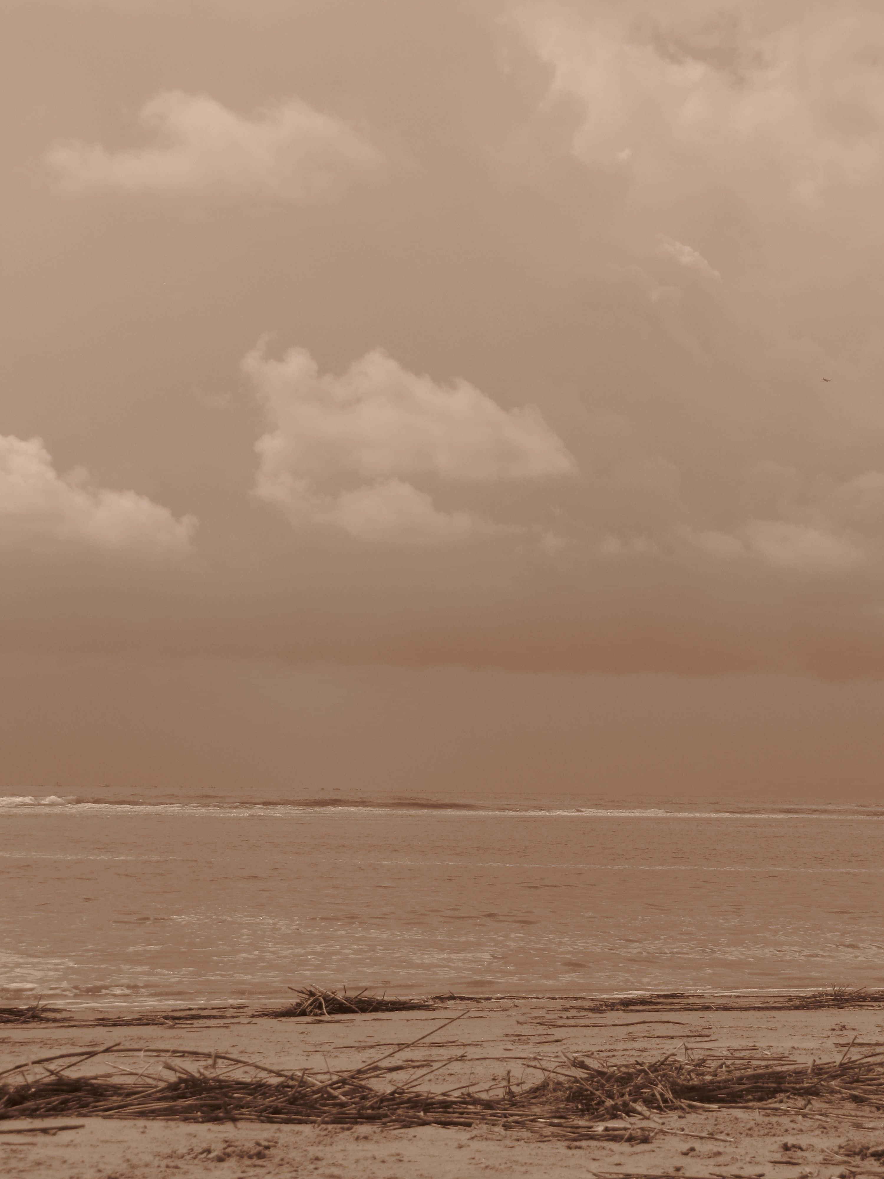 Isang lalaki ang sumasakay sa surfboard sa dalampasigan Wallpaper