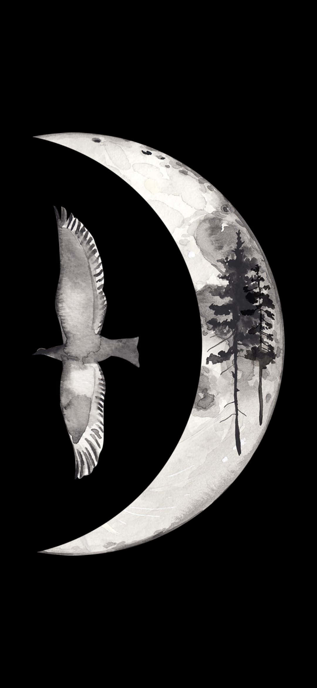 Isang liblib na tropikal na dalampasigan na may turkesang karagatan, puting buhangin at asul na langit Wallpaper