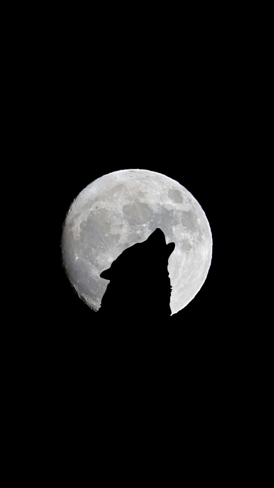 isang lobo na umaalulong sa buwan Wallpaper