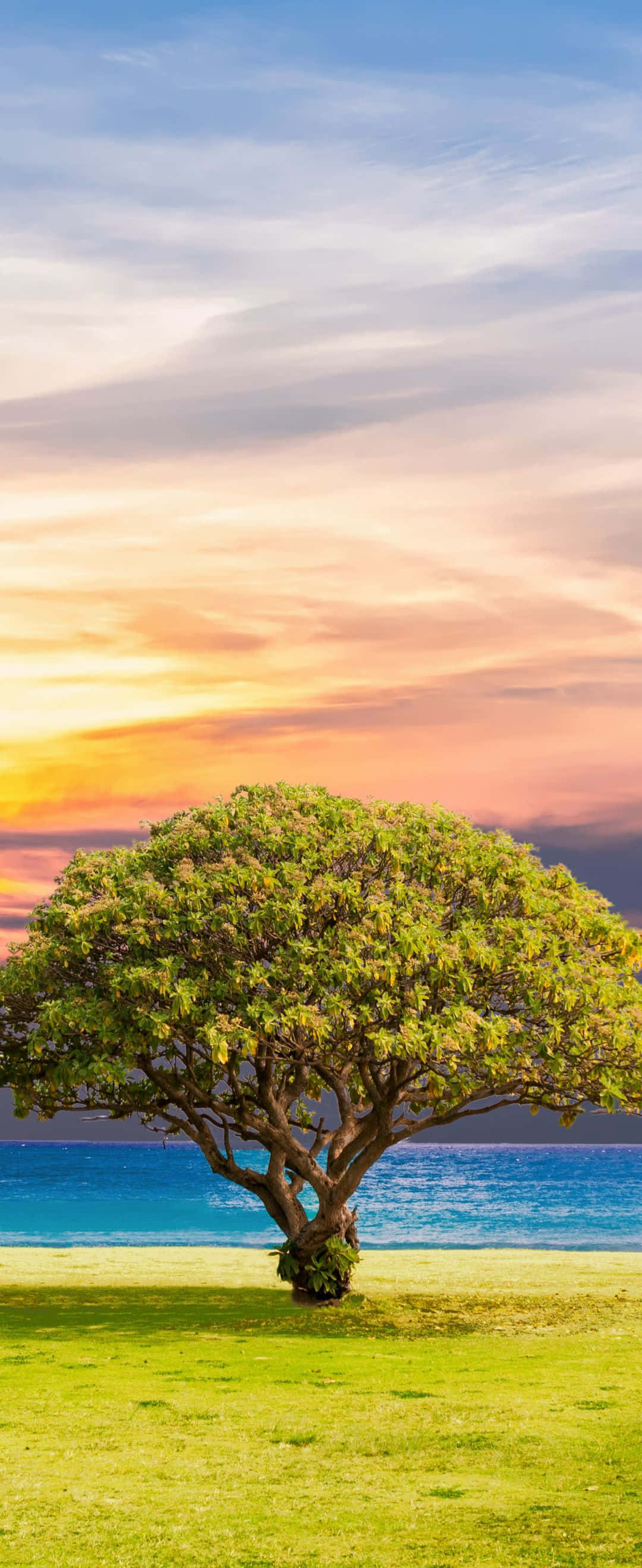 Isang luntiang luntiang na lambak sa probinsya Wallpaper