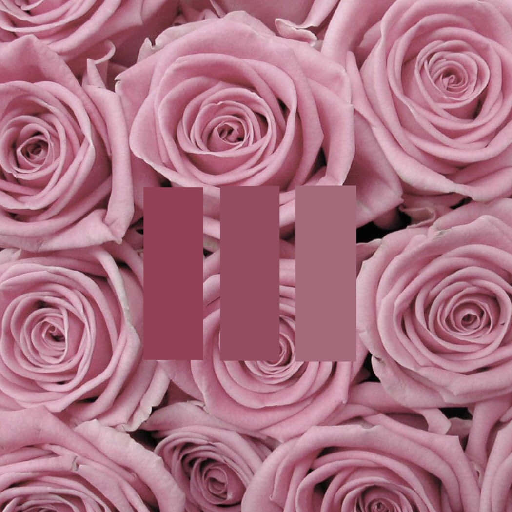 Isang magandang aesthetic na imahe ng isang malambot na pink na ulap laban sa asul na langit. Wallpaper