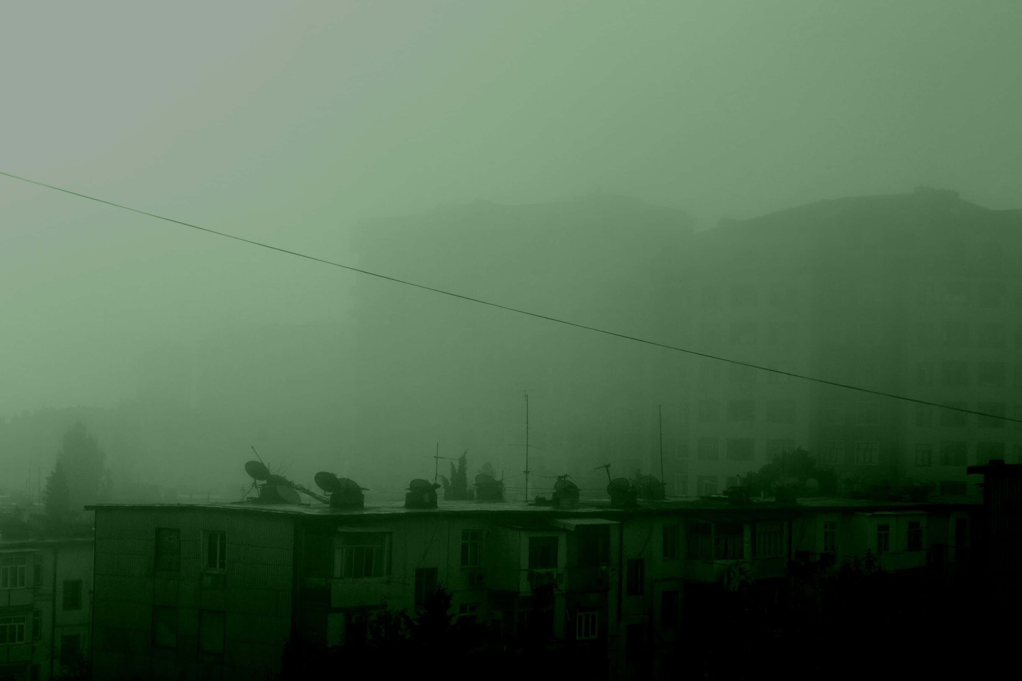 Isang magandang dark green aesthetic Wallpaper