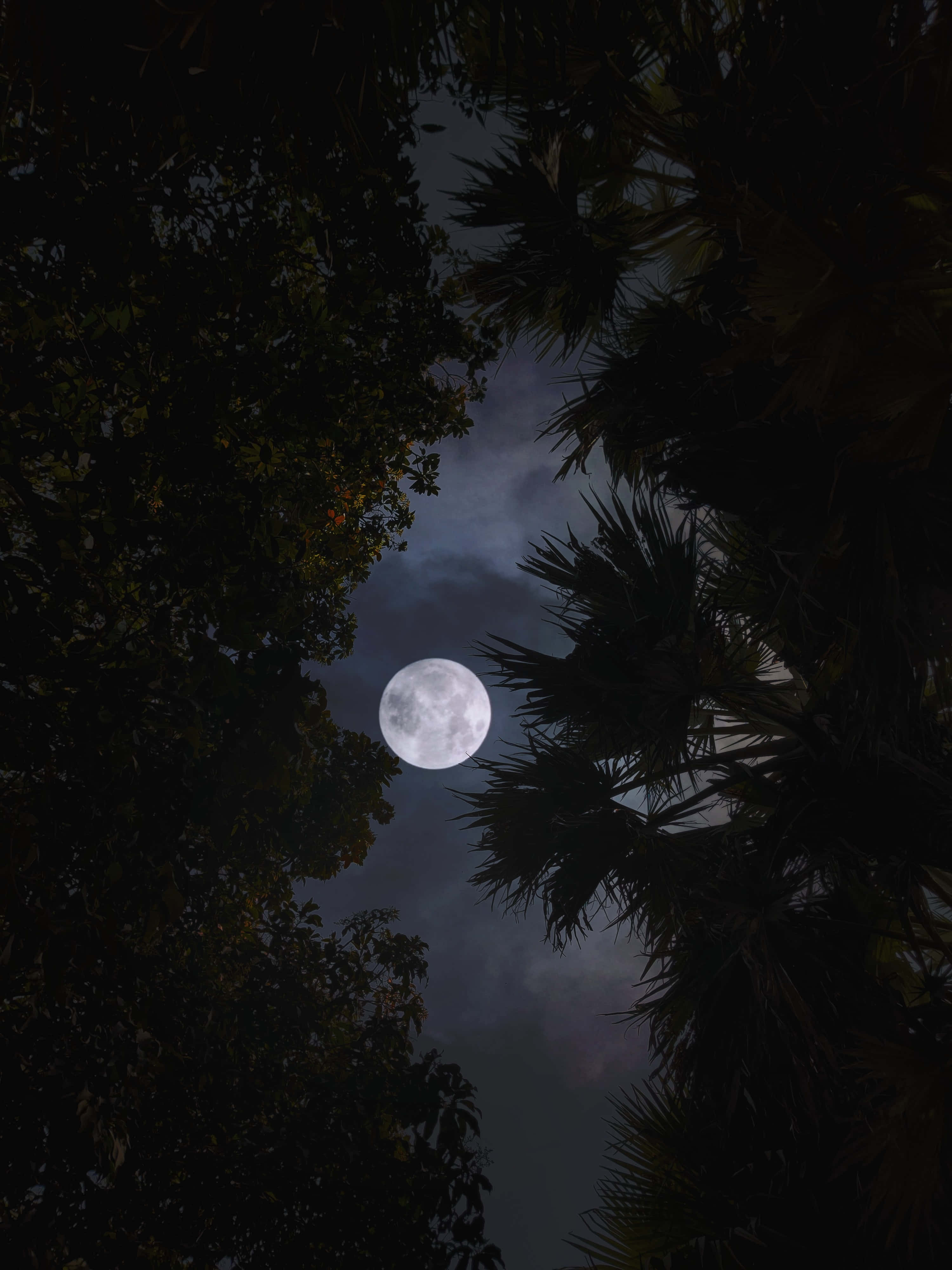 Isang magandang kabilugan ng buwan na nagpapaliwanag sa mapayapang langit ng gabi. Wallpaper