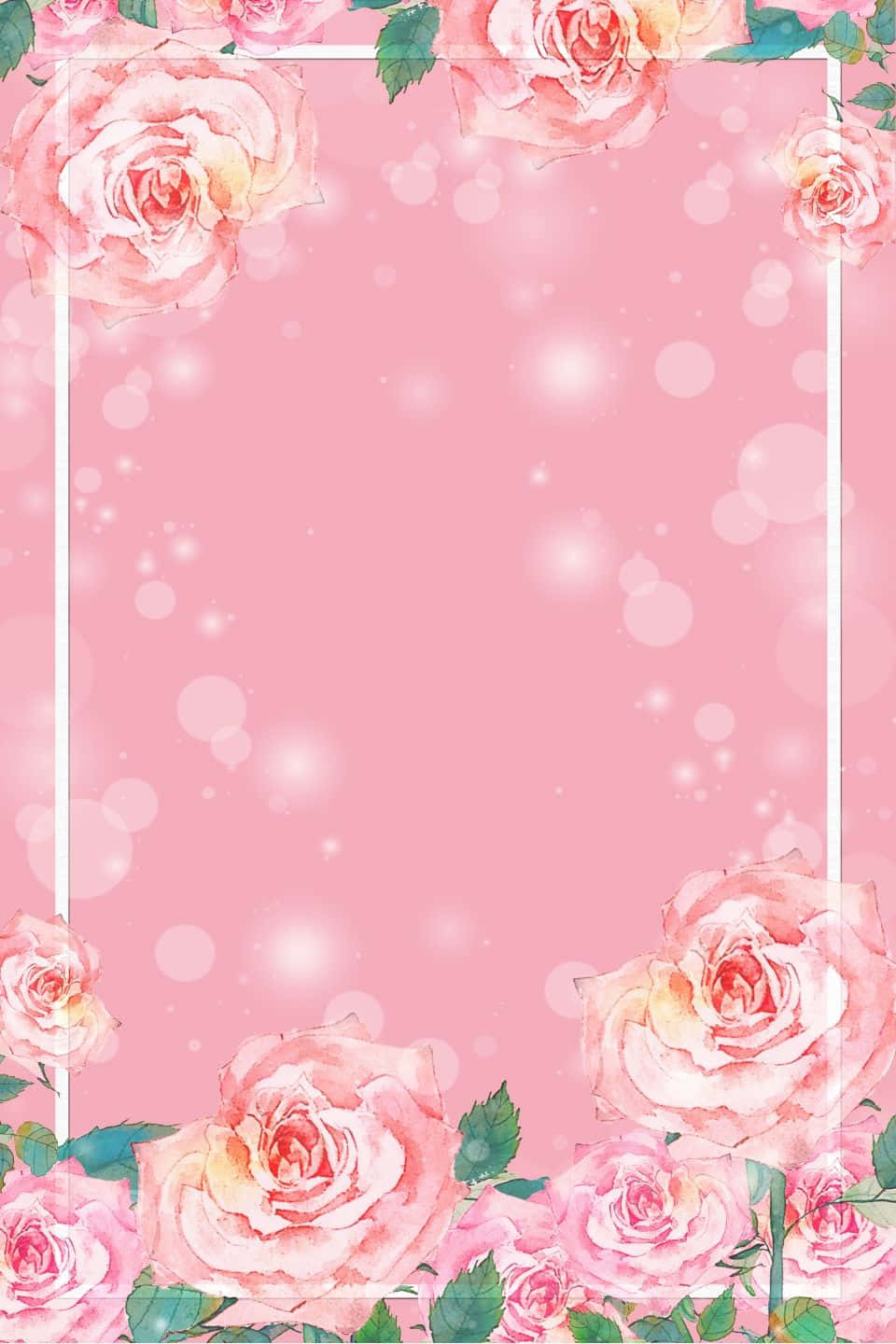 Isang magandang rosas na bulaklak laban sa asul na langit Wallpaper