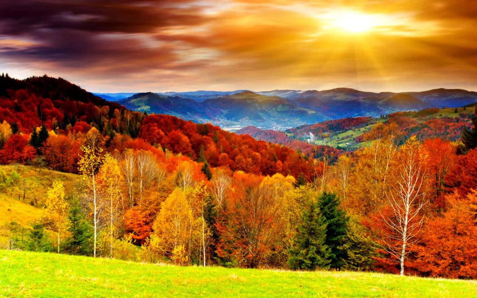 Isang magandang tanawin ng taglagas na may matingkad na kulay sa computer background Wallpaper
