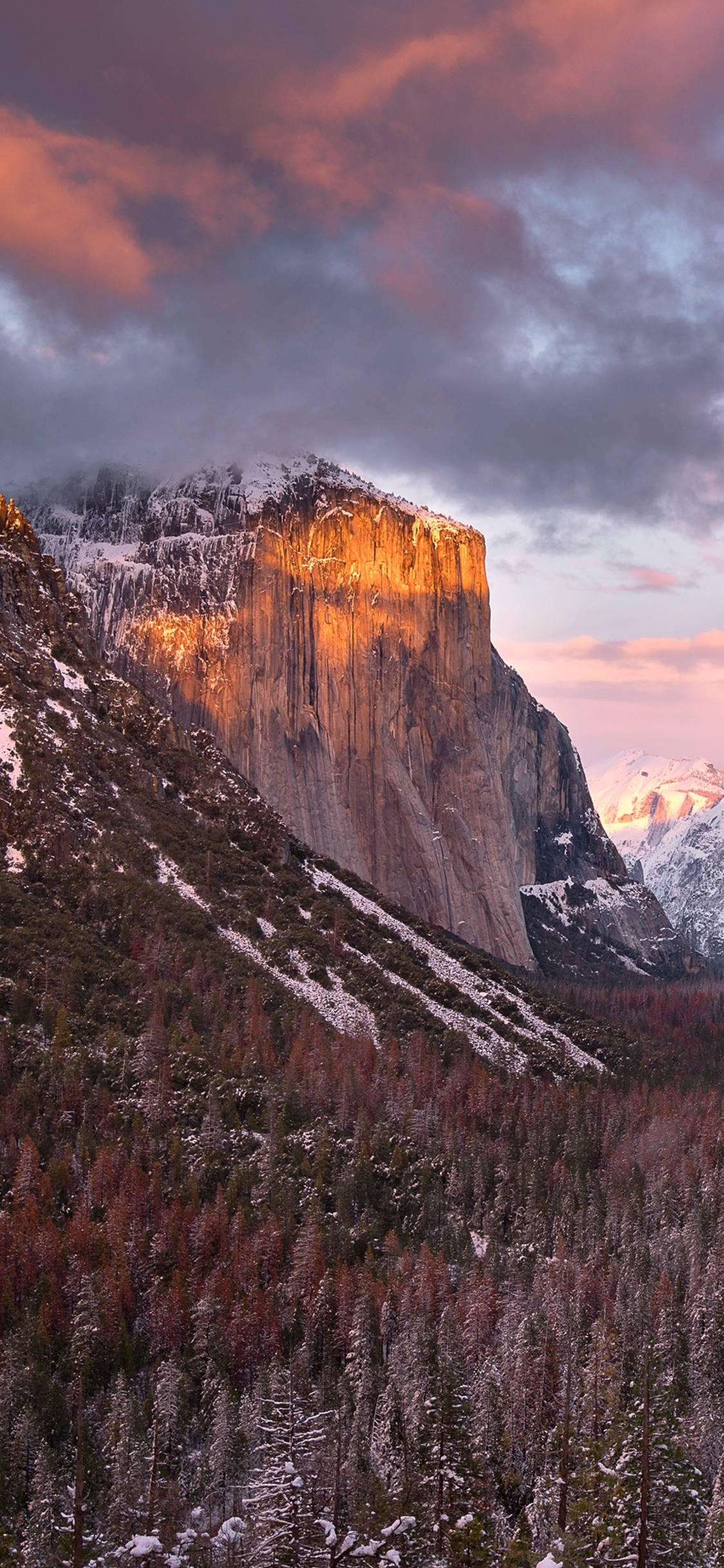 Isang magandang tanawin ng Yosemite National Park na nakita sa lens ng isang iPhone Wallpaper