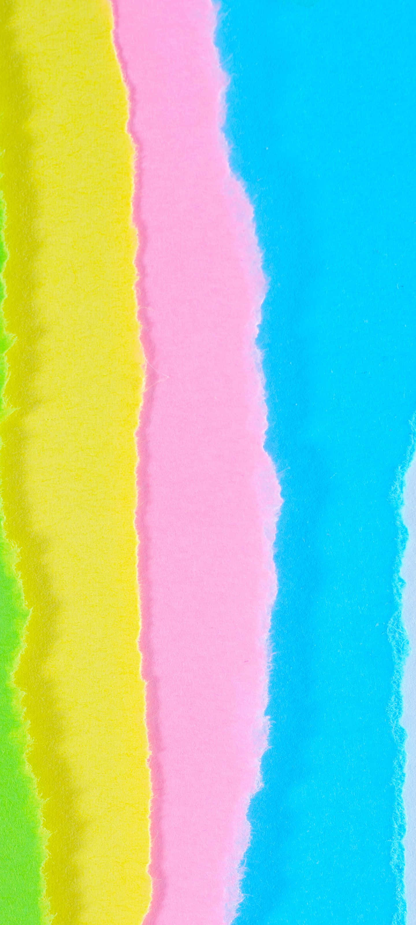 Isang magandang puno na may makulay na berdeng dahon na napapaligiran ng mga rosas at dilaw na talulot Wallpaper