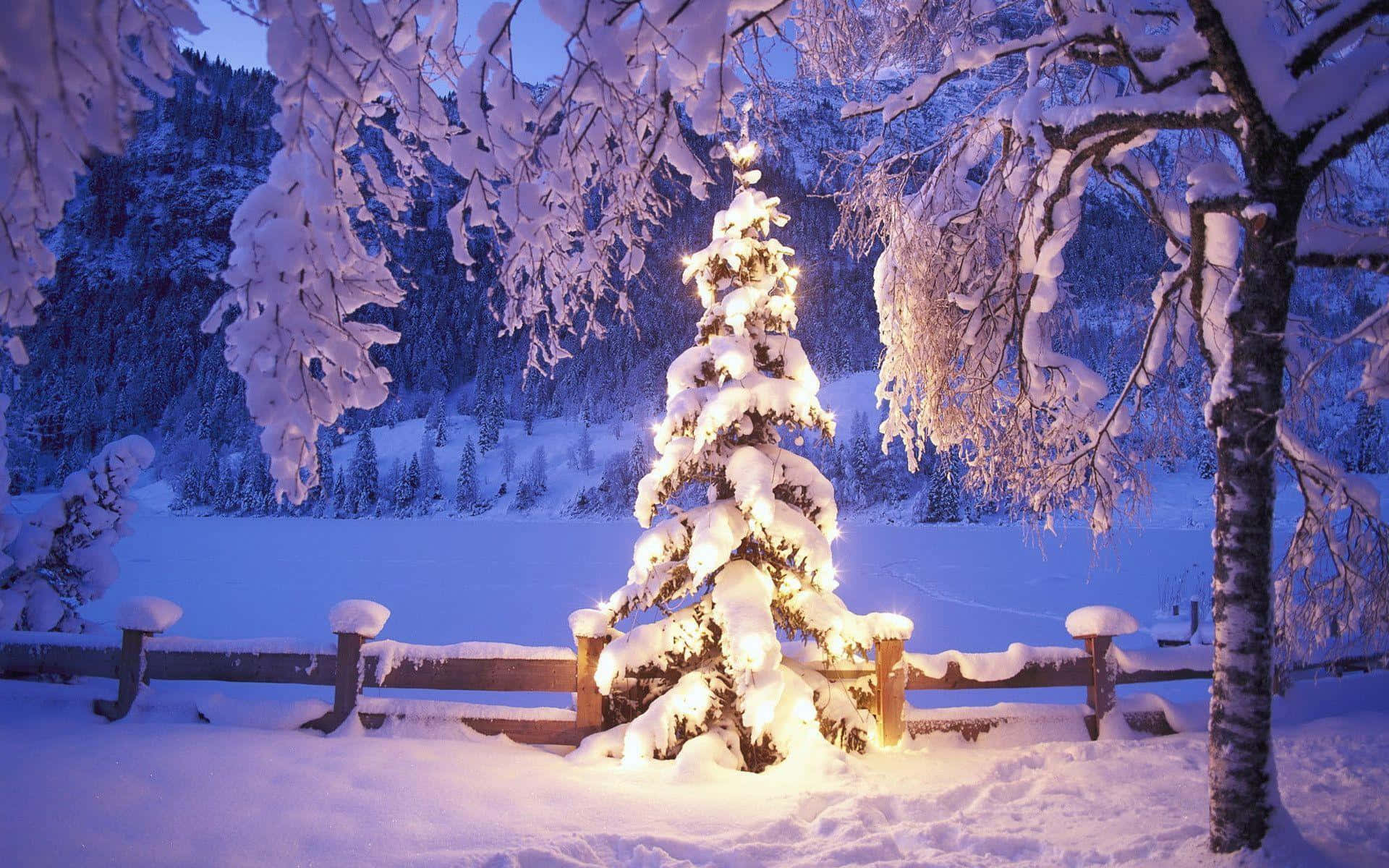 Isang Magical na Background ng Desktop para sa Pasko Wallpaper
