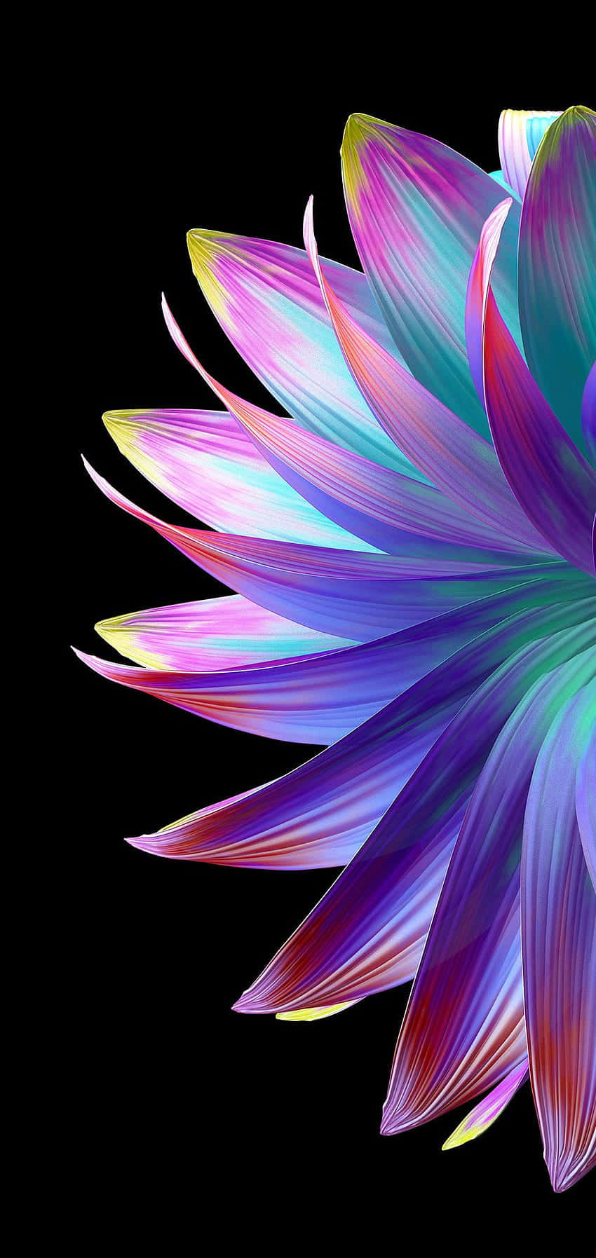 isang makulay na bulaklak na may itim na background Wallpaper